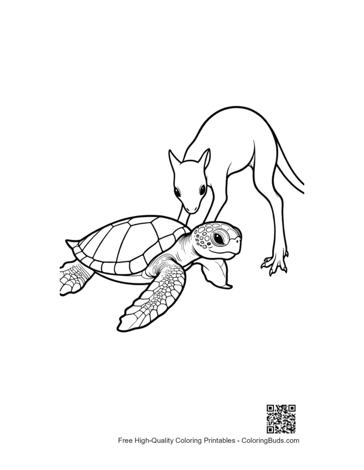 Cute kangaroo with hatchling sea turtle illustration