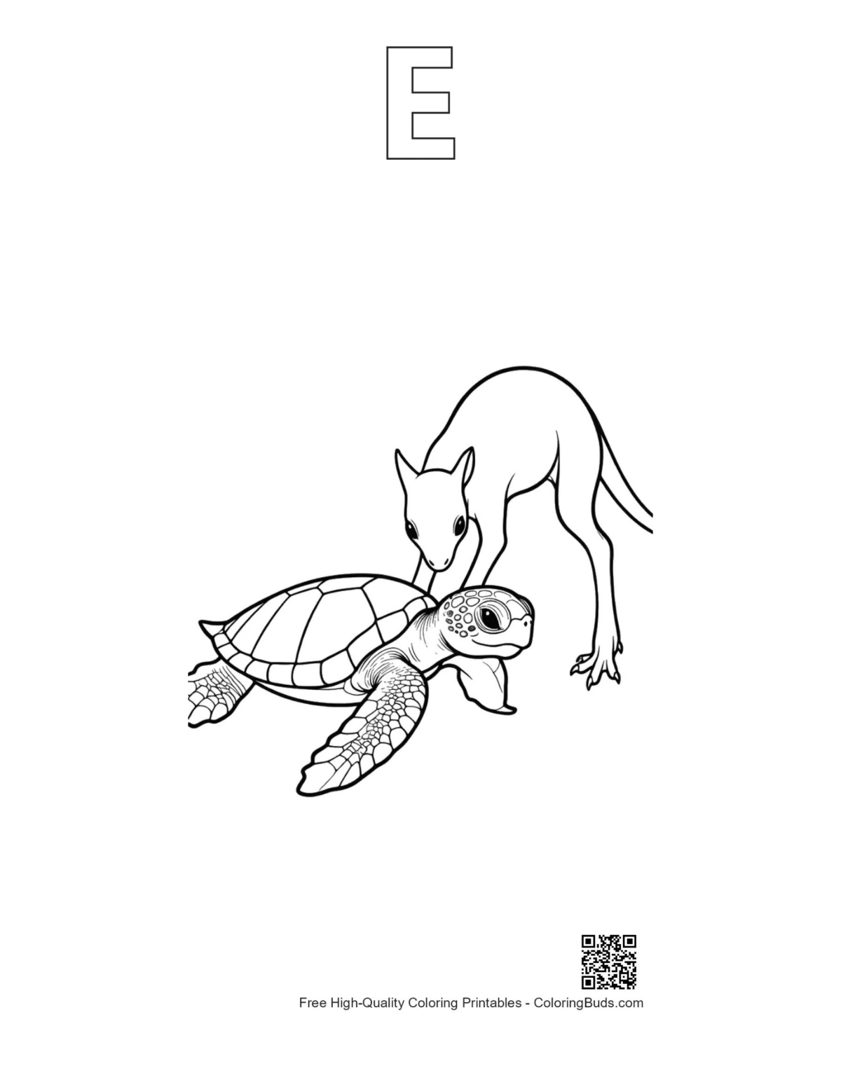 Kangaroo sea turtle coloring page with letter E