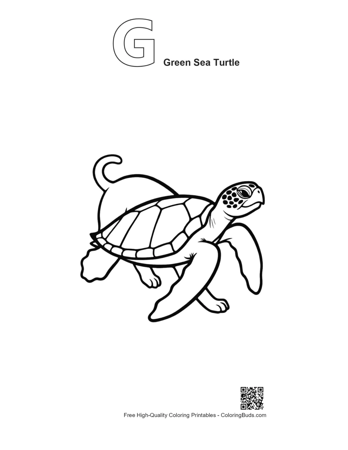 Green sea turtle outline with alphabet G printable
