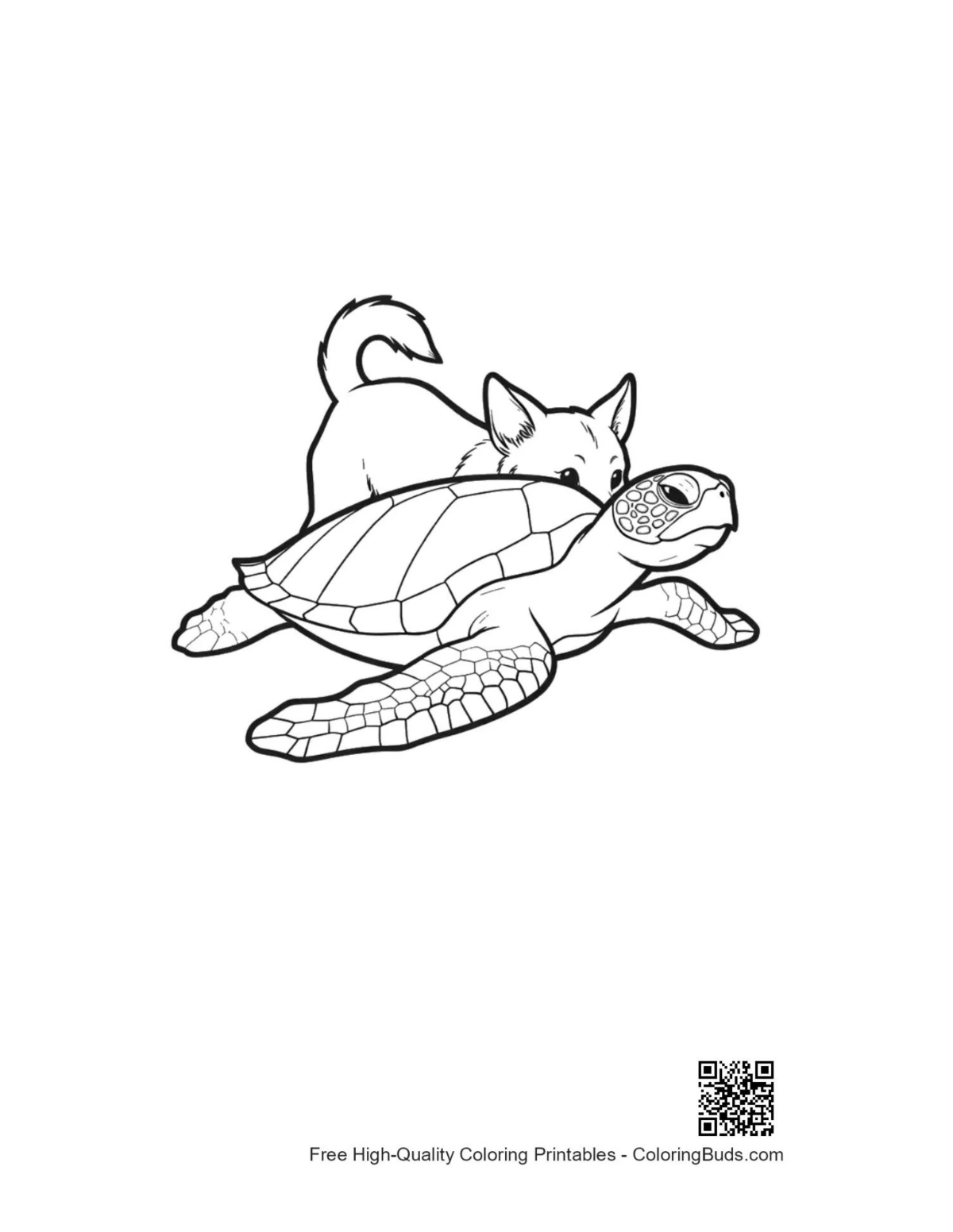 Cute playful kitten cuddling green sea turtle