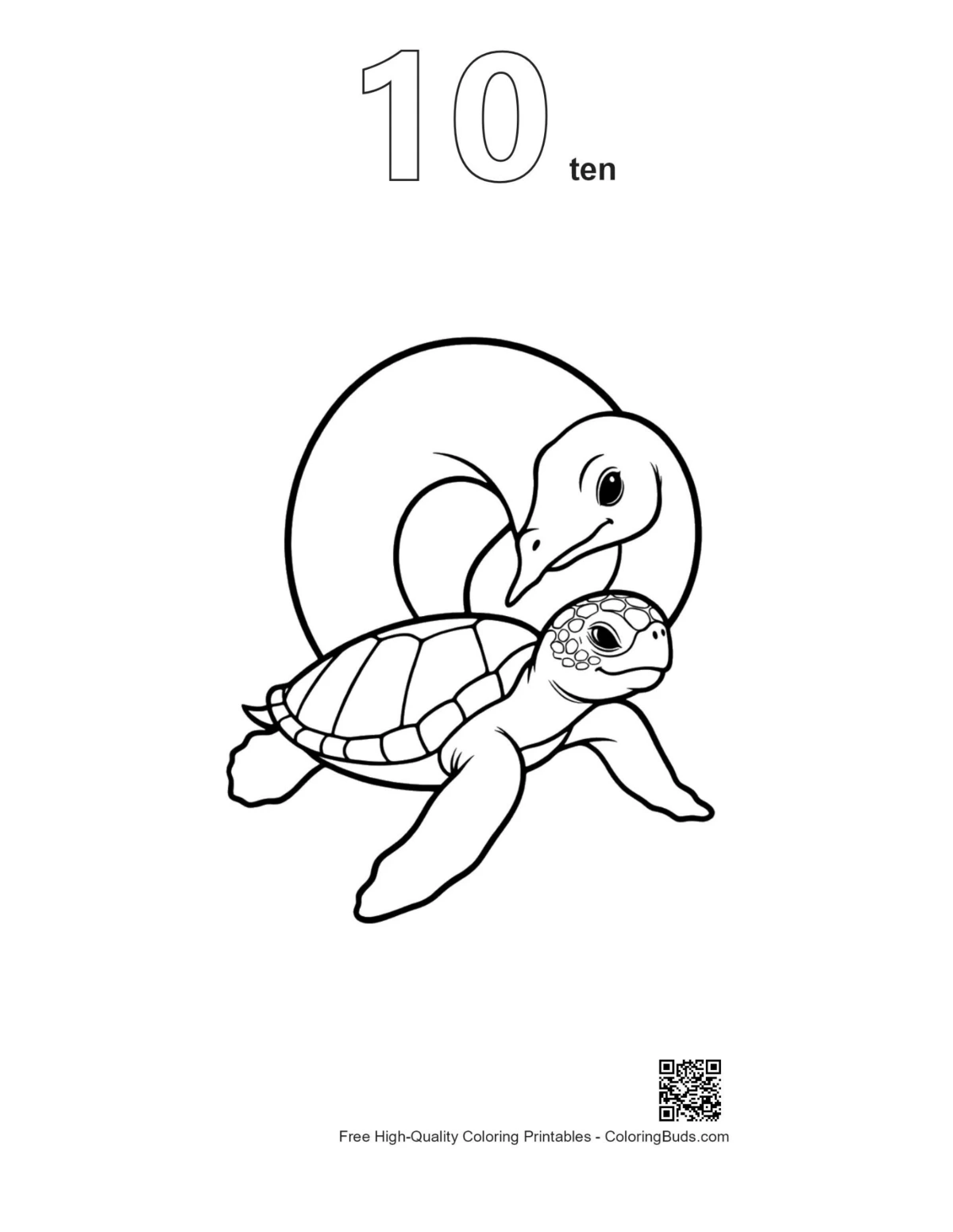 ภาพที่ 10 โครงร่างหงส์ปกป้องลูกเต่าทะเล