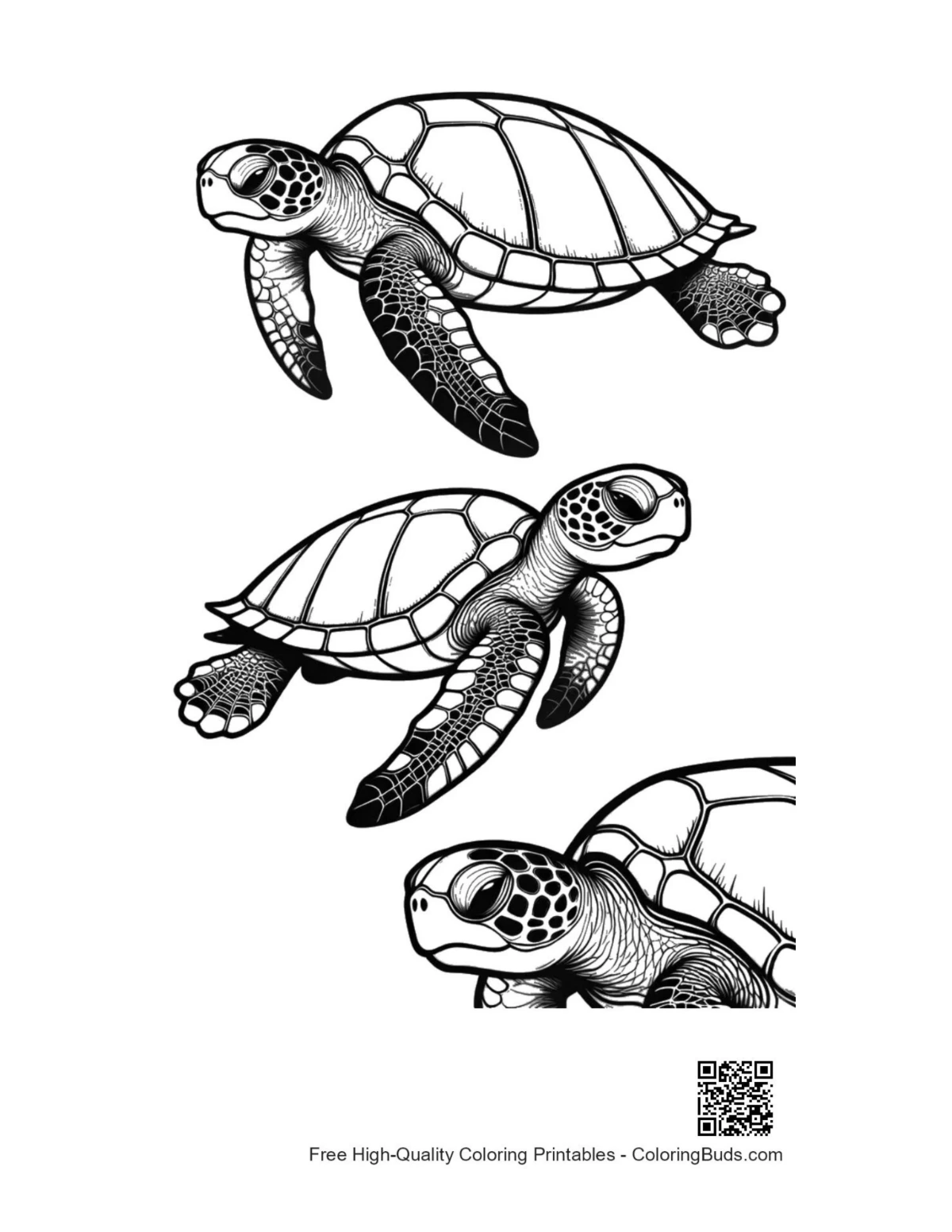 Three baby sea turtles swimming gracefully illustration