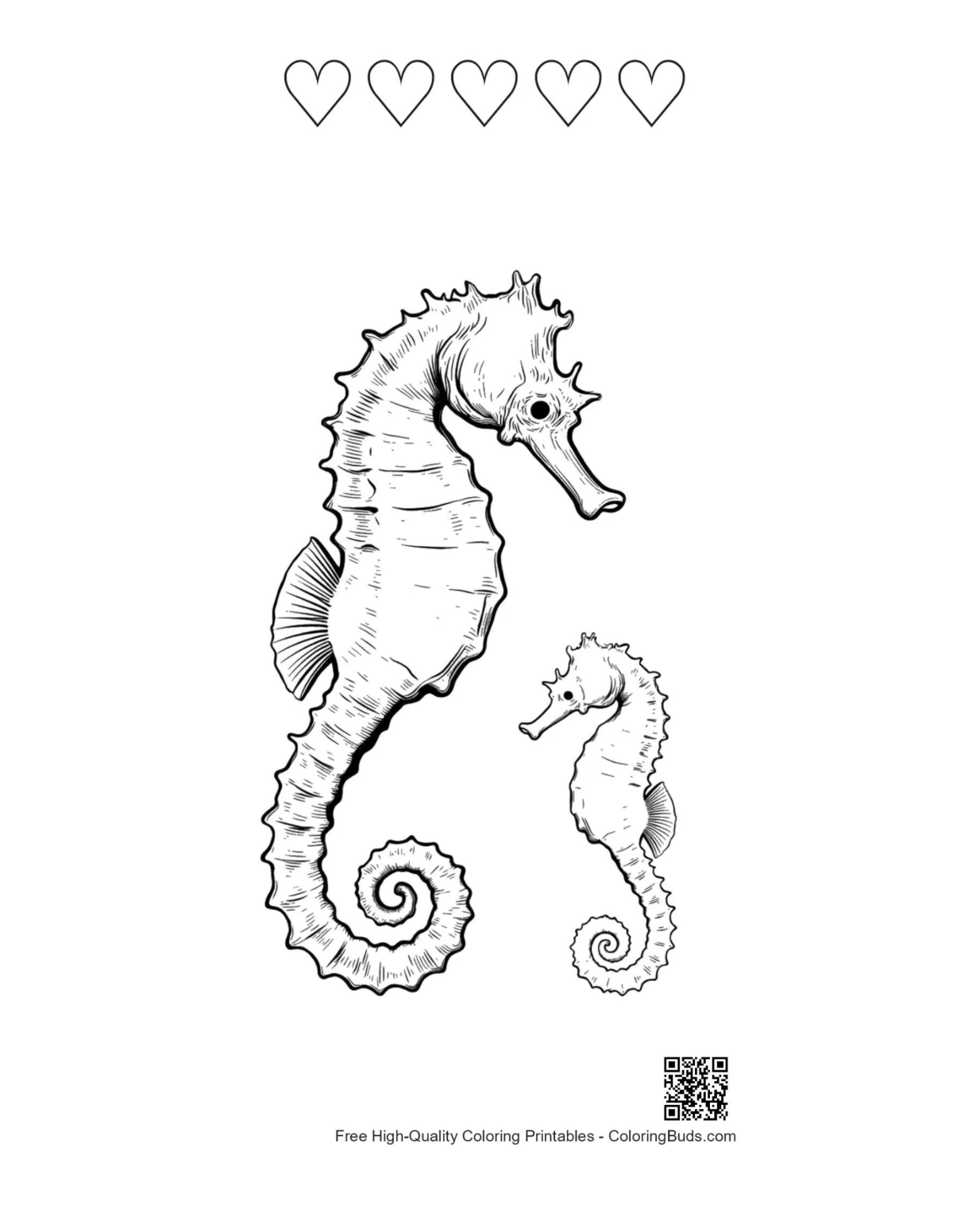 5 heart outline printable seahorse in coral