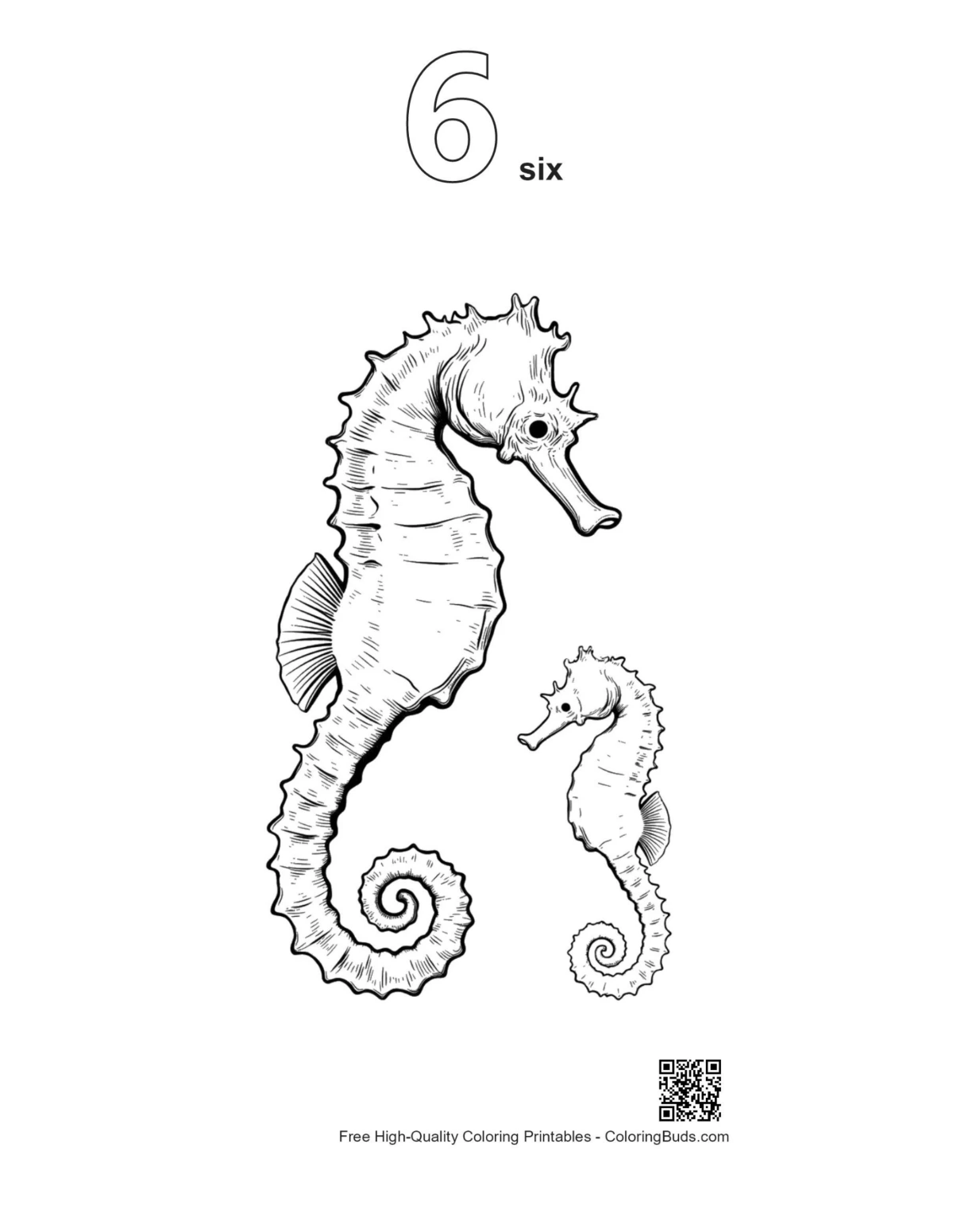 Number 6 seahorse in coral outline printable