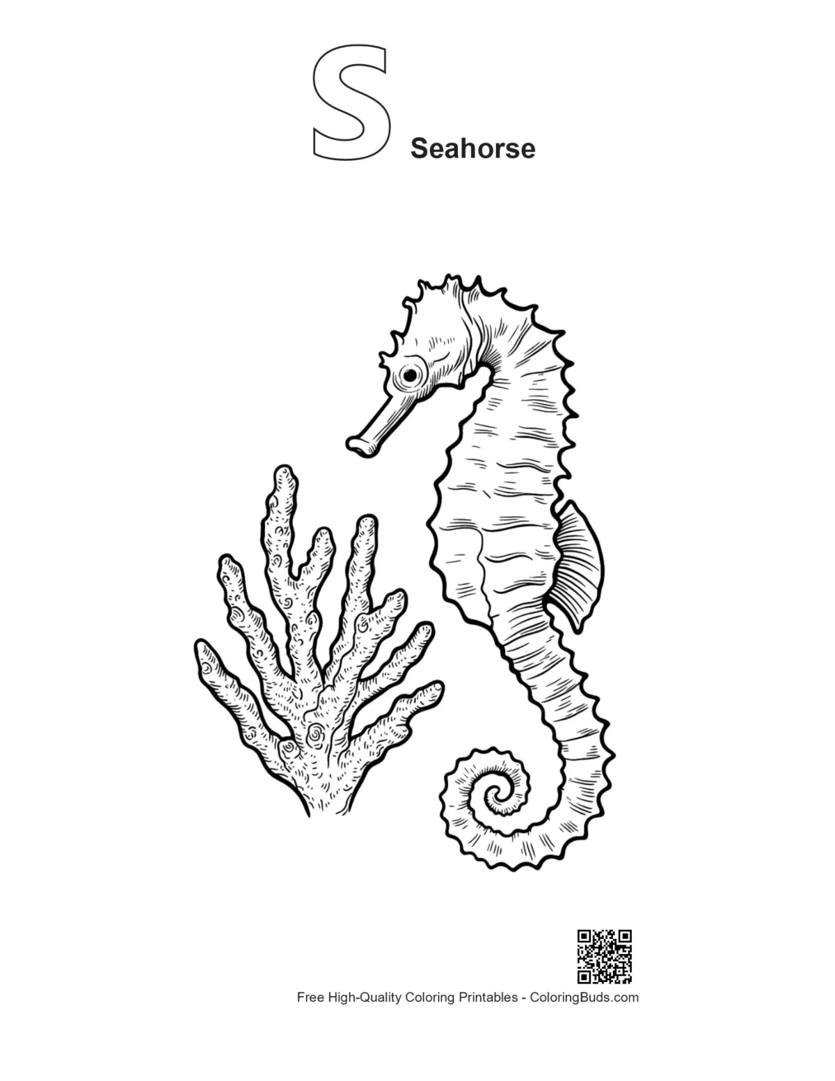 Alphabet S Seahorse in Coral outline