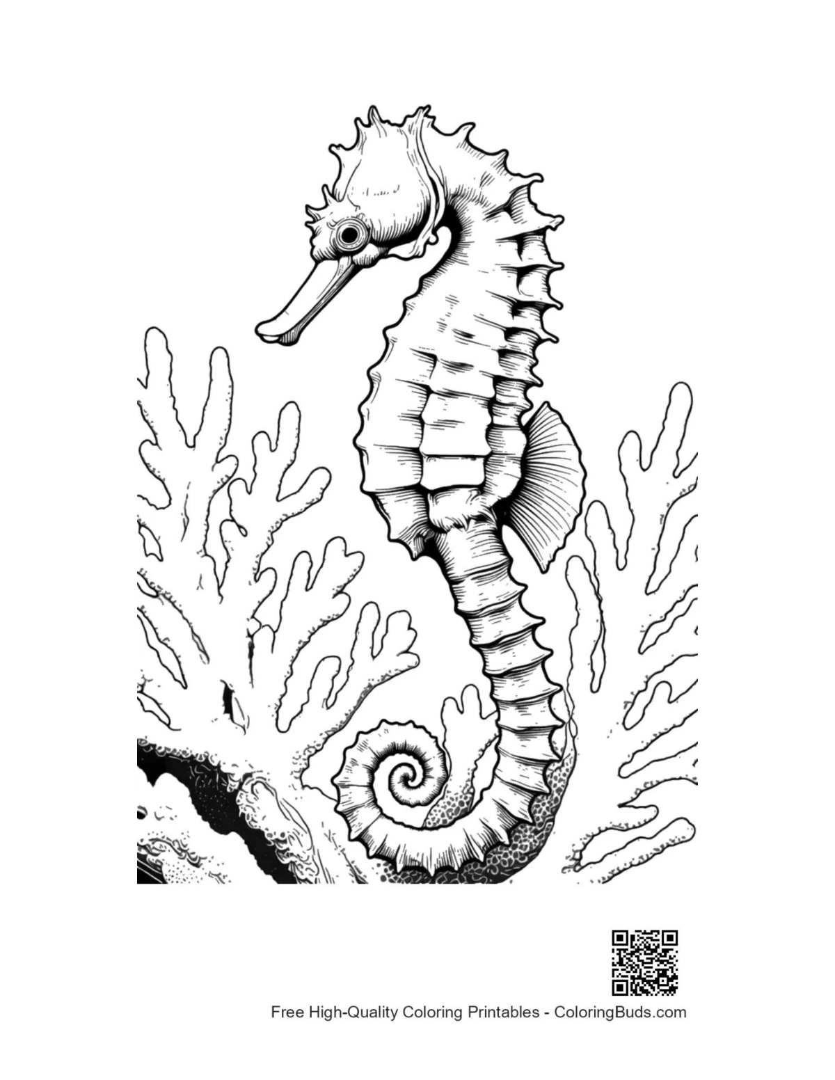 Seahorse in Coral coloring page