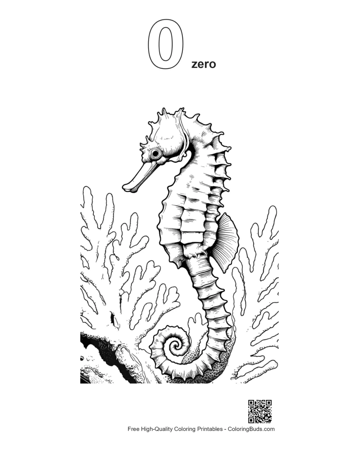 Seahorse coloring page outline number 0