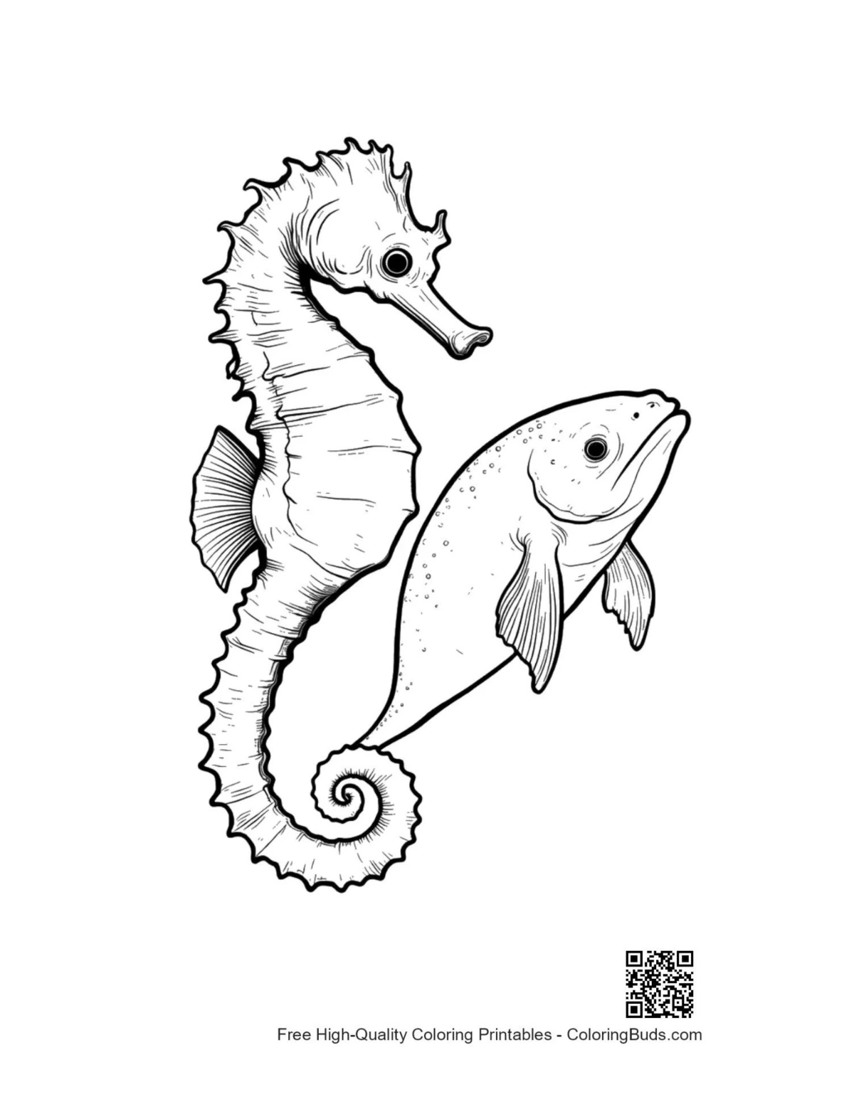 Seahorse and fish in coral reef coloring page