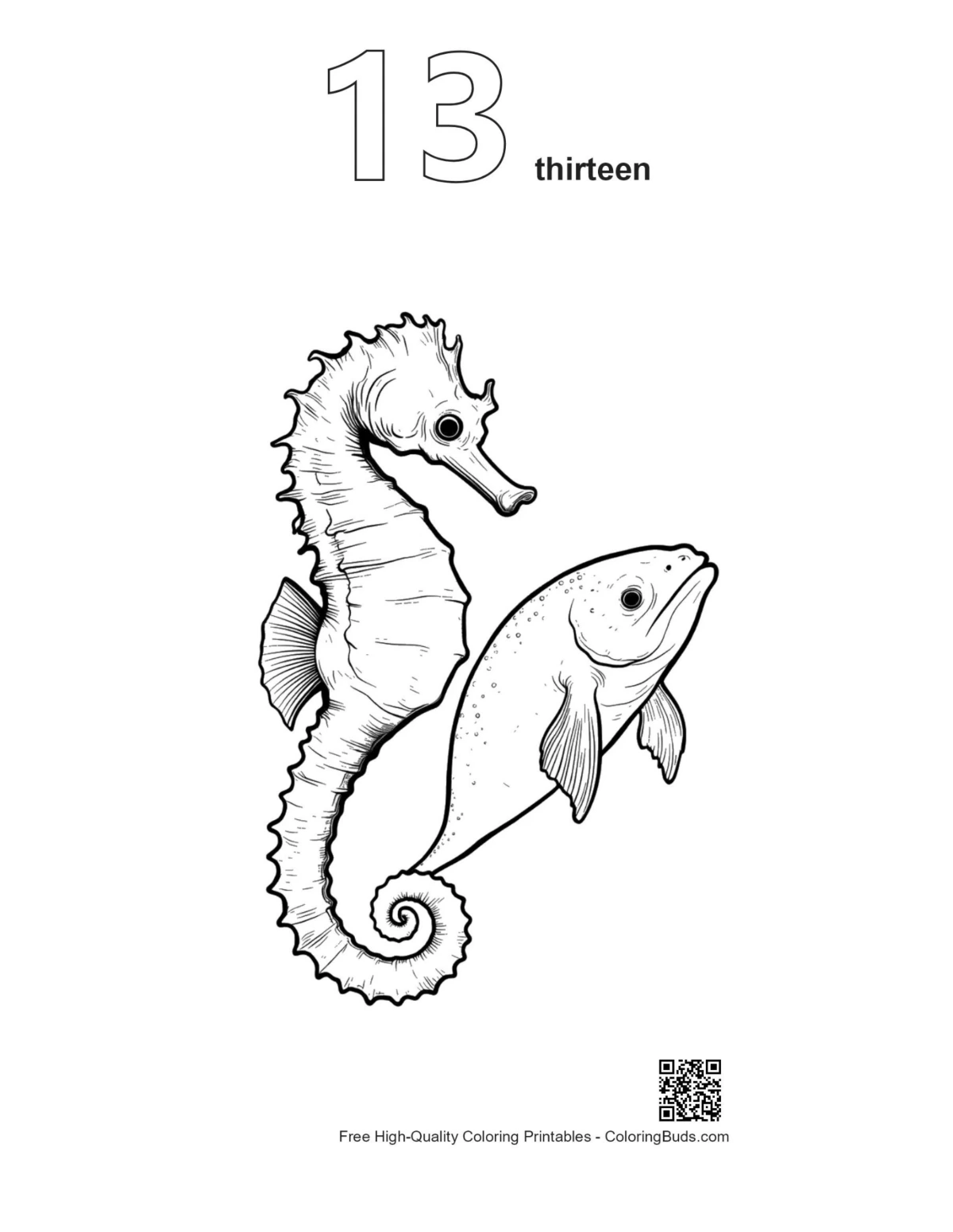 Seahorse reef outline coloring page #13
