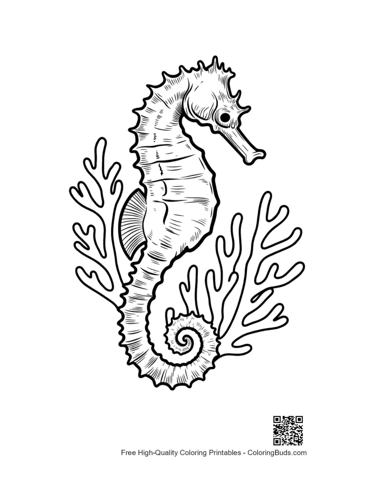 Seahorse in Coral coloring page