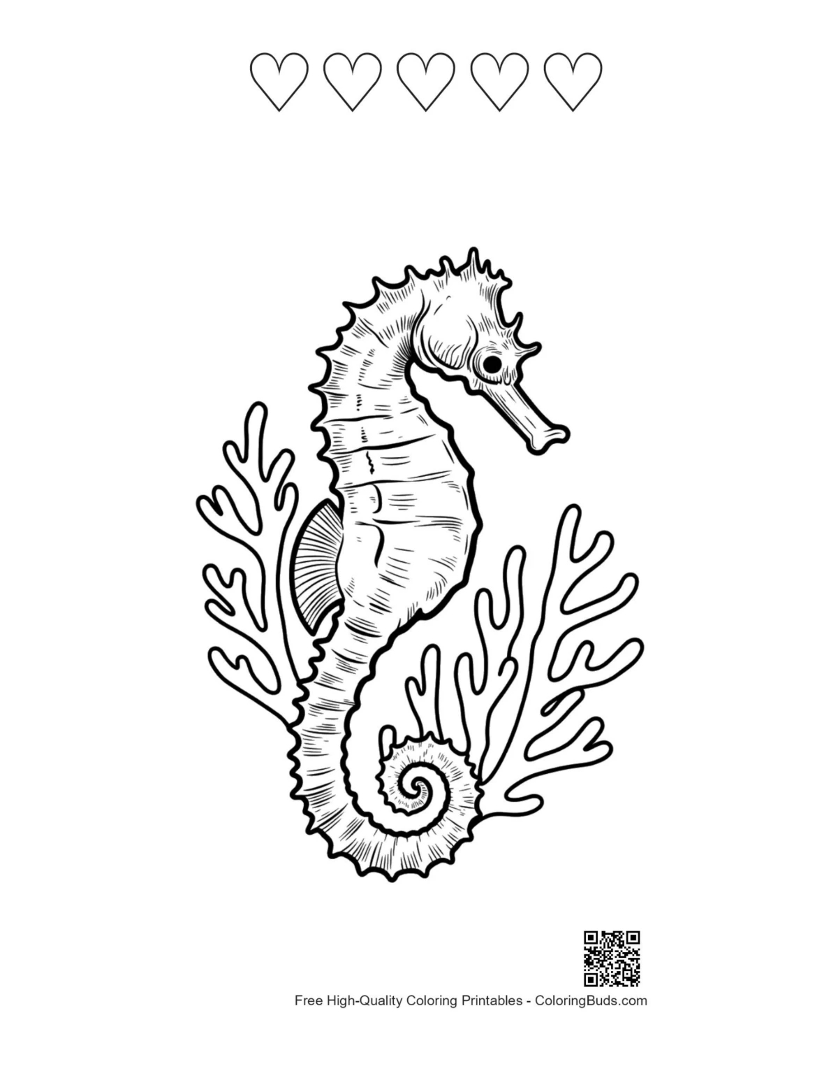 Seahorse in Coral hearts outline sheet