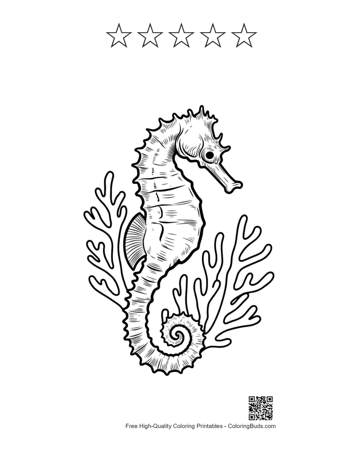 Seahorse in Coral with 5 stars outline