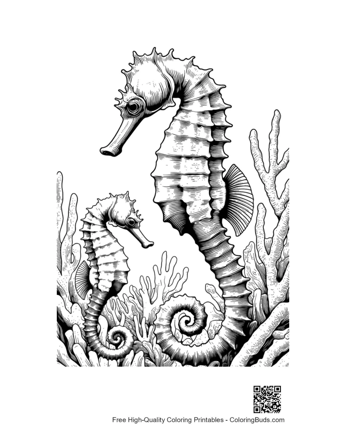 Seahorses amid coral reefs coloring page