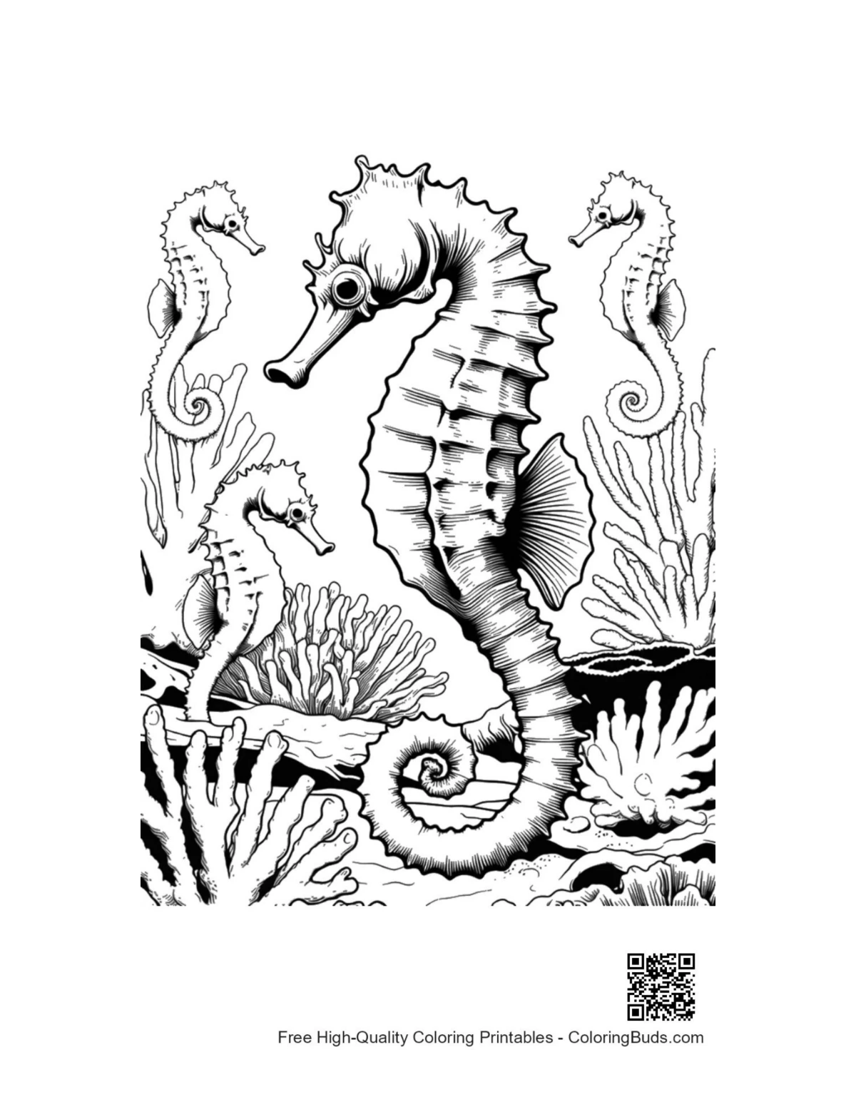 Seahorses Among Coral Reefs coloring page