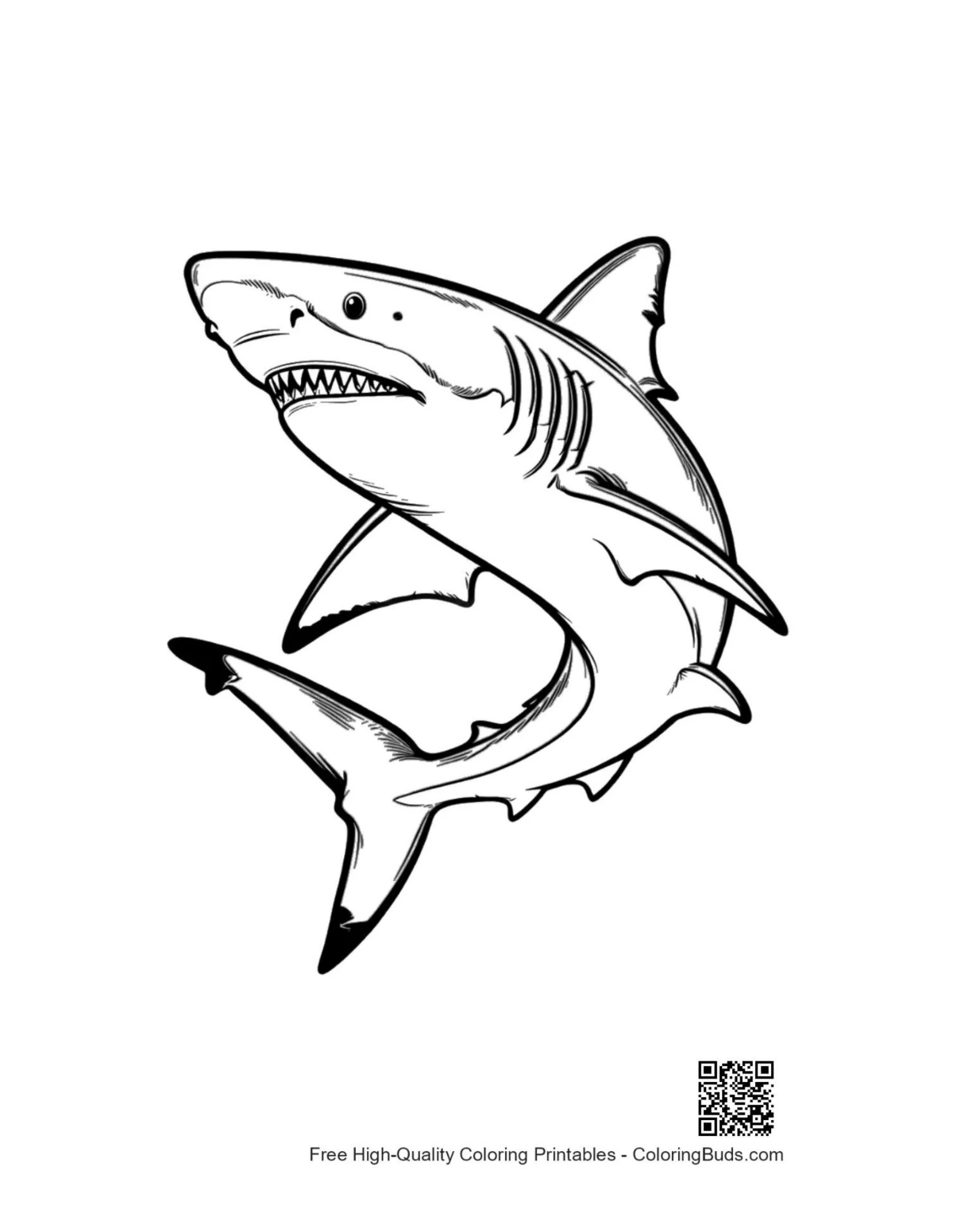 Fierce great white shark leaping from ocean waves
