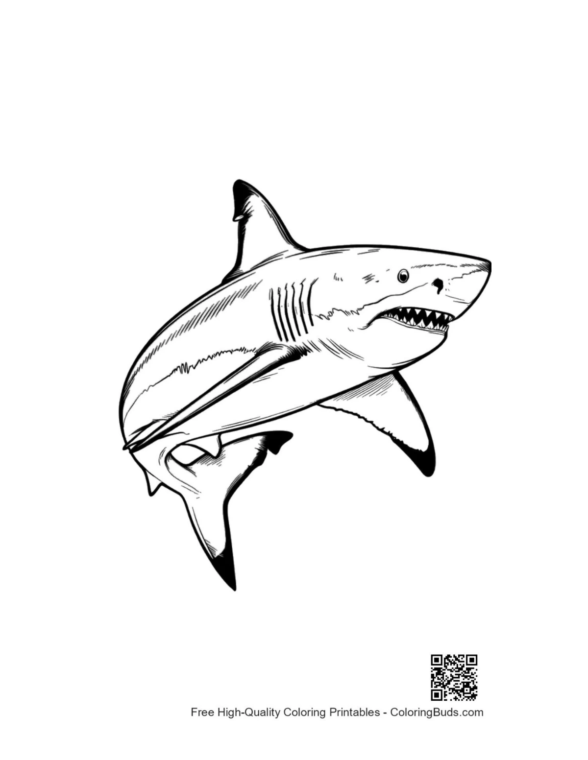 Fierce great white shark leaping ocean printable