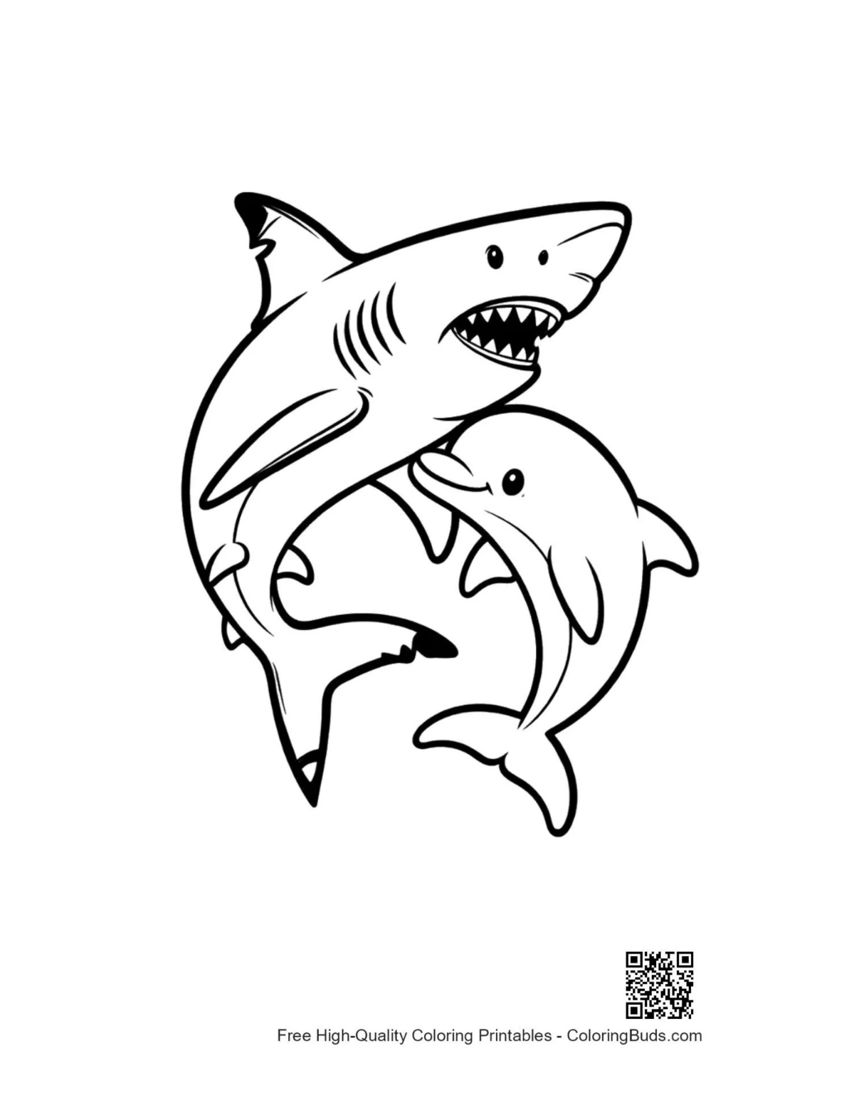 Great white shark playfully chasing dolphin scene