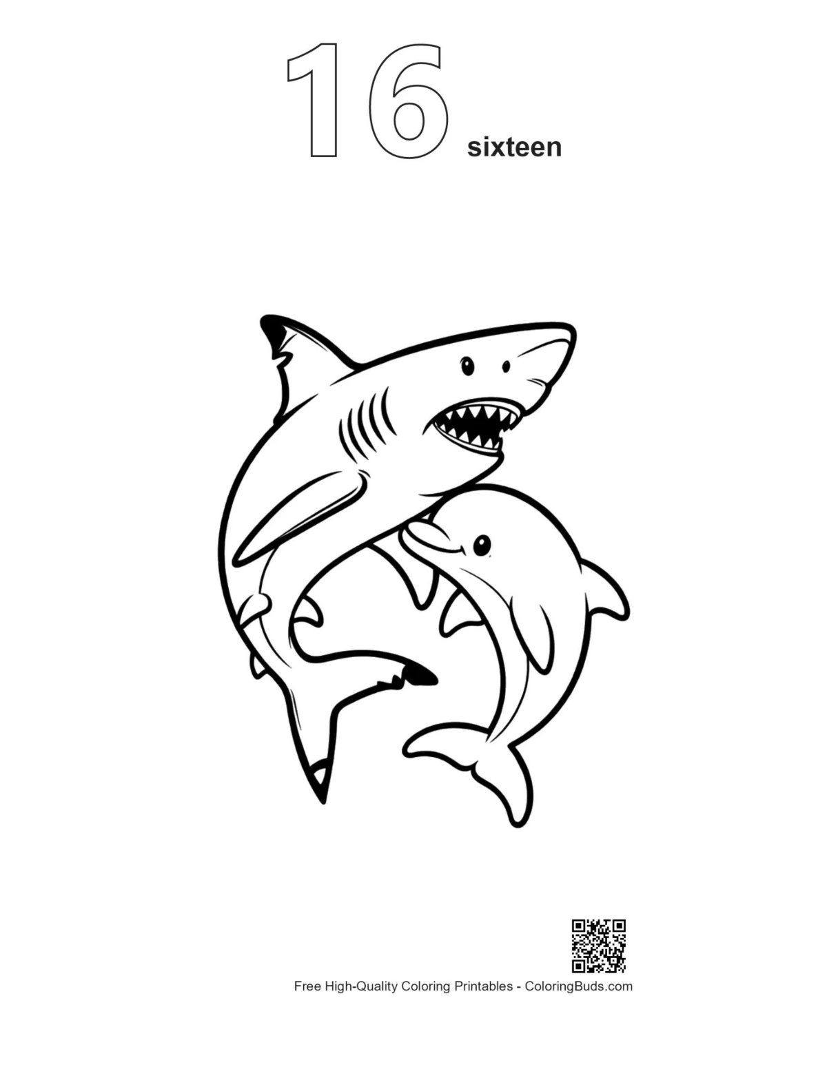 Numbered 16 great white shark chasing dolphin outline