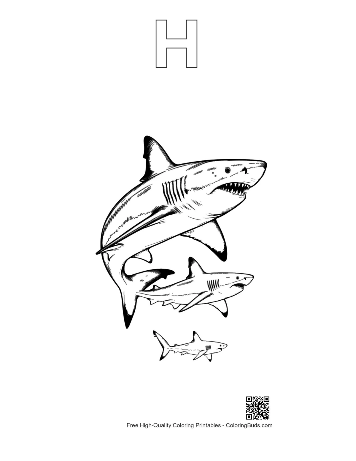 Leaping sharks outline with alphabet H design