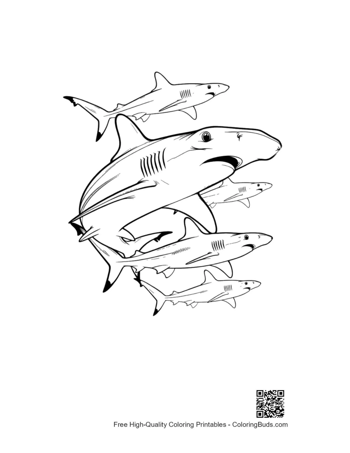 Group of hammerhead sharks swimming underwater