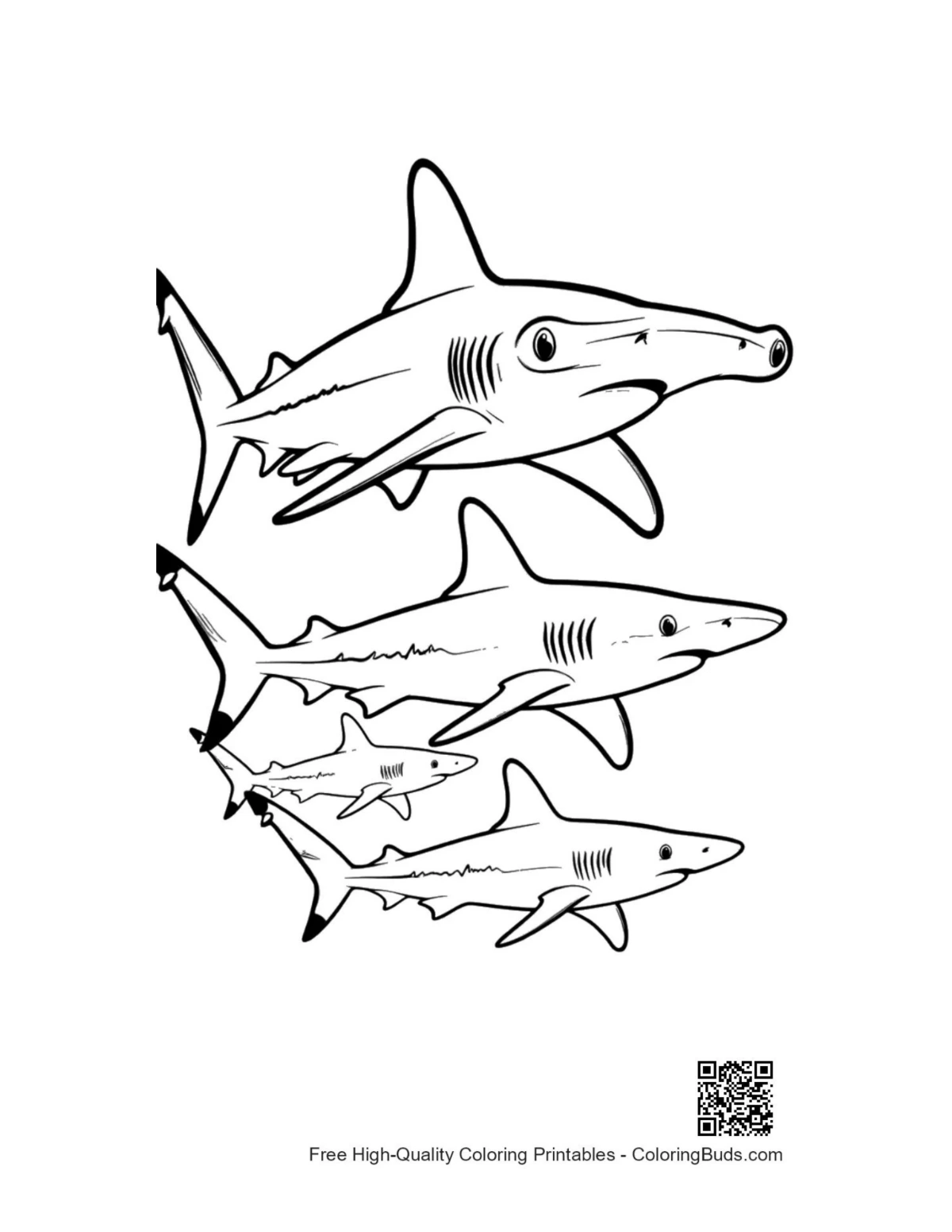 Hammerhead shark family outline for coloring