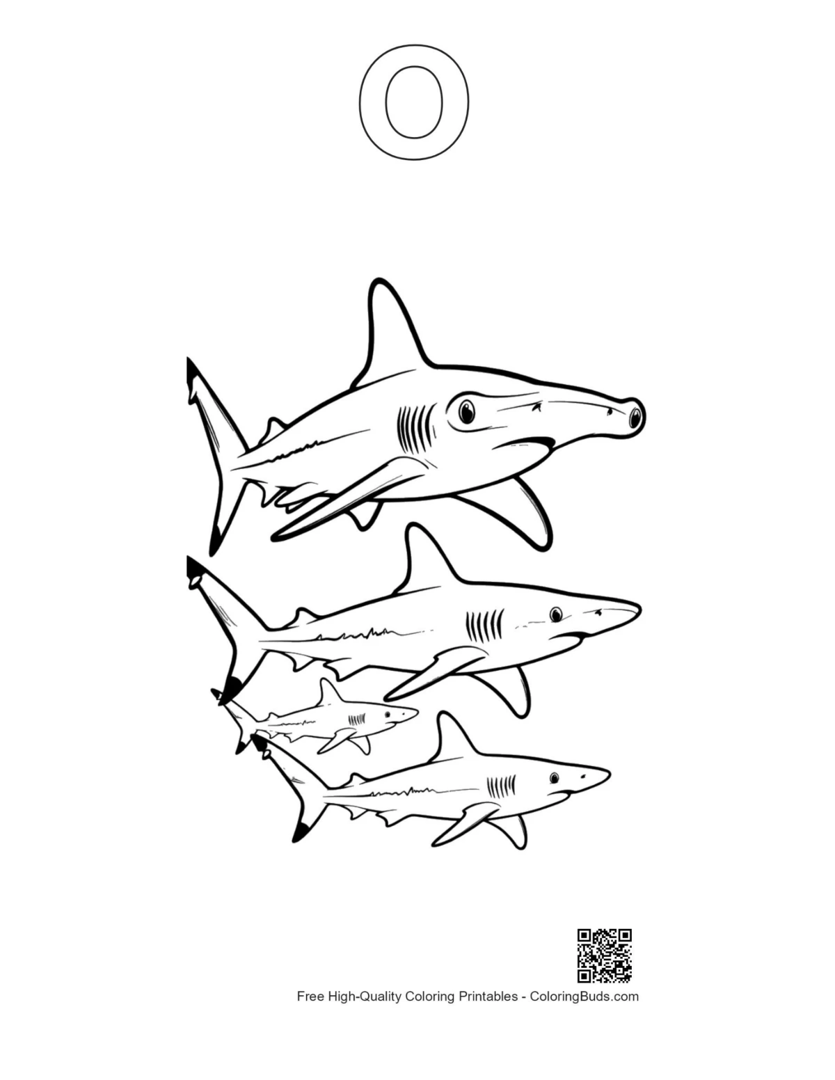 Hammerhead shark family with alphabet O outline