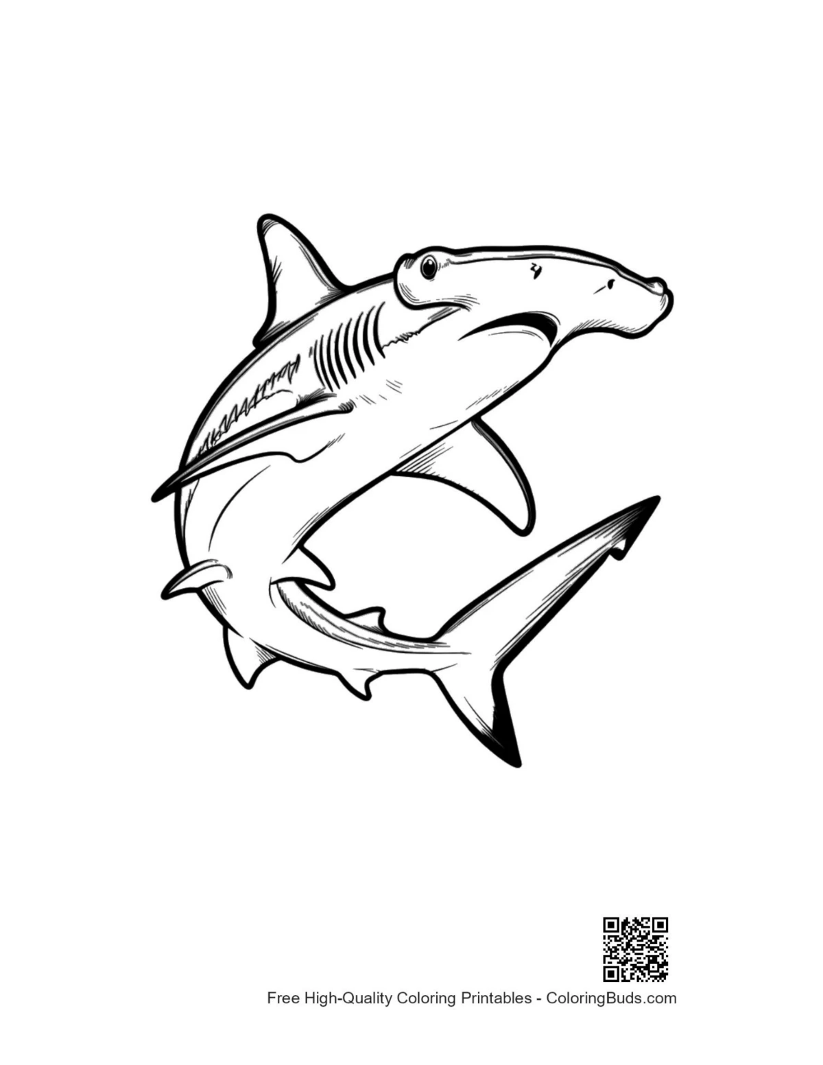 Hammerhead shark outline sketch for coloring pages