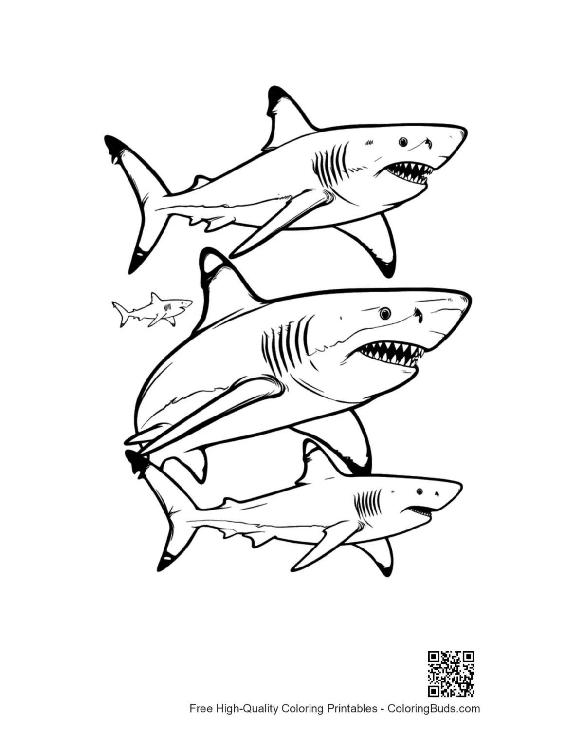 Playful great white sharks outline pack for coloring