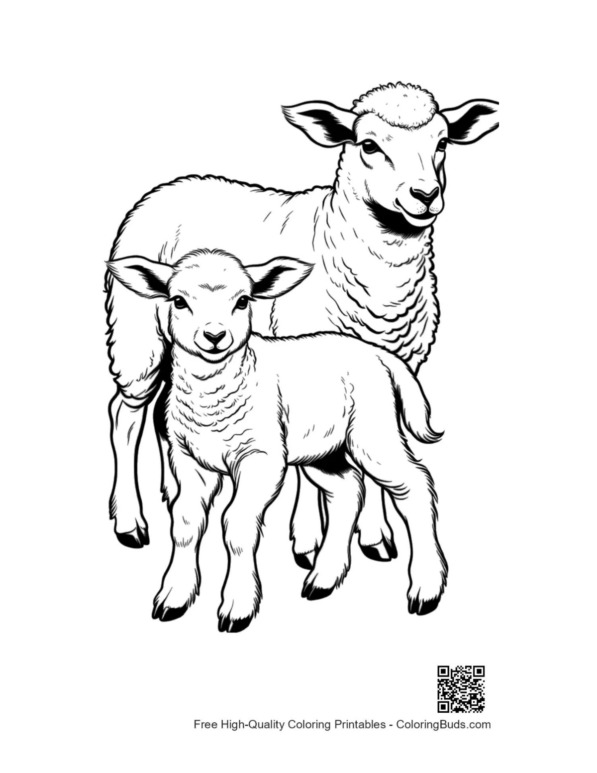 Cute mother sheep and lamb standing coloring page