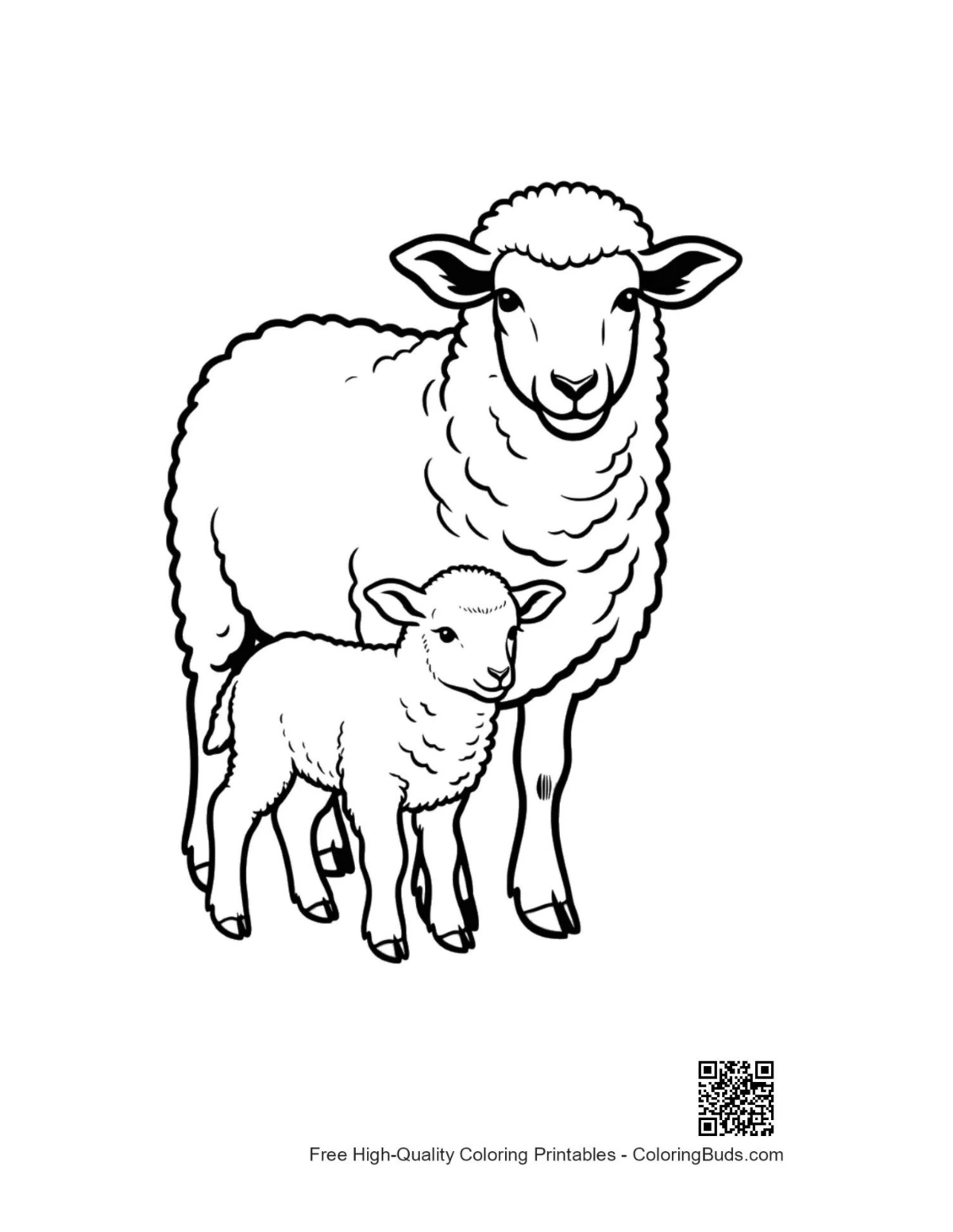 Woolly Mother Sheep and Lamb outline