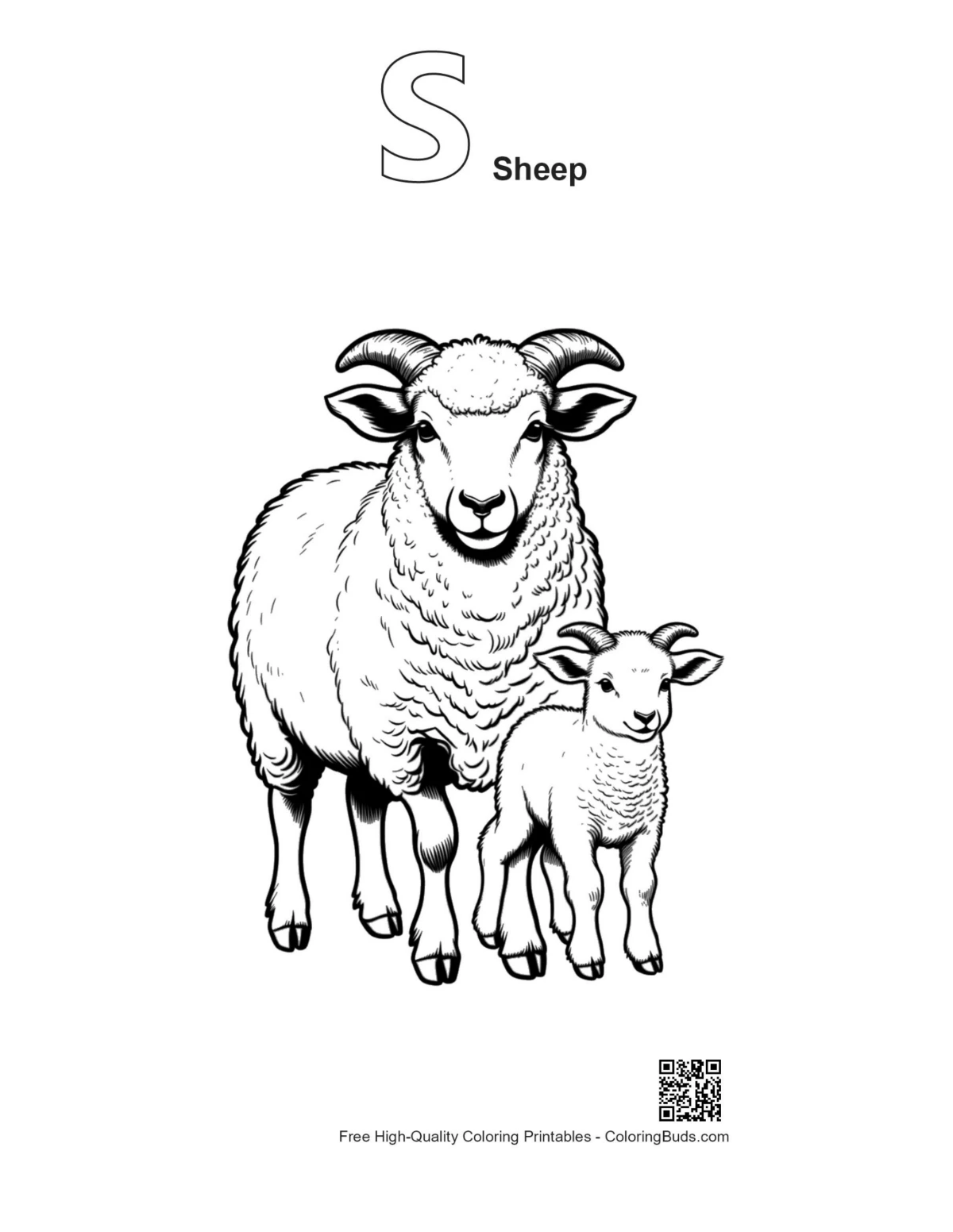 Woolly sheep lamb outline with alphabet S