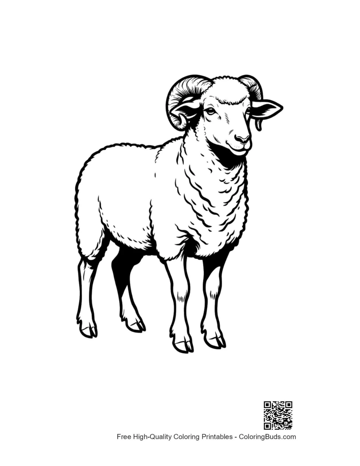 Proud woolly ram standing coloring page