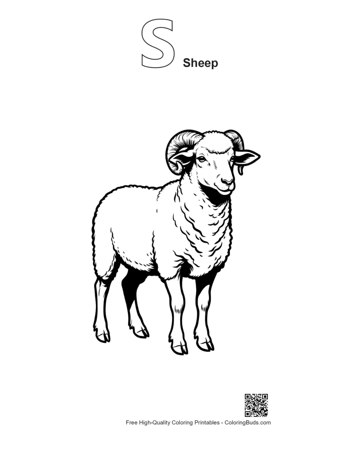 Woolly ram outline with S sheep alphabet