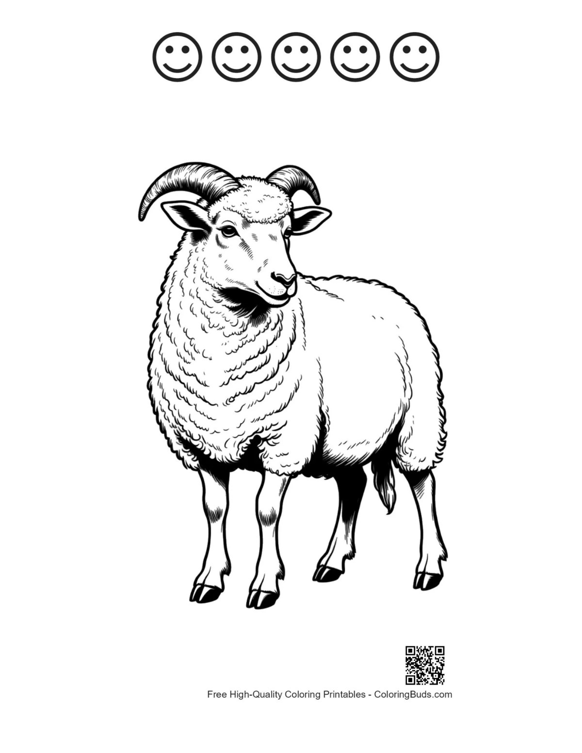 Cute woolly sheep with happy faces