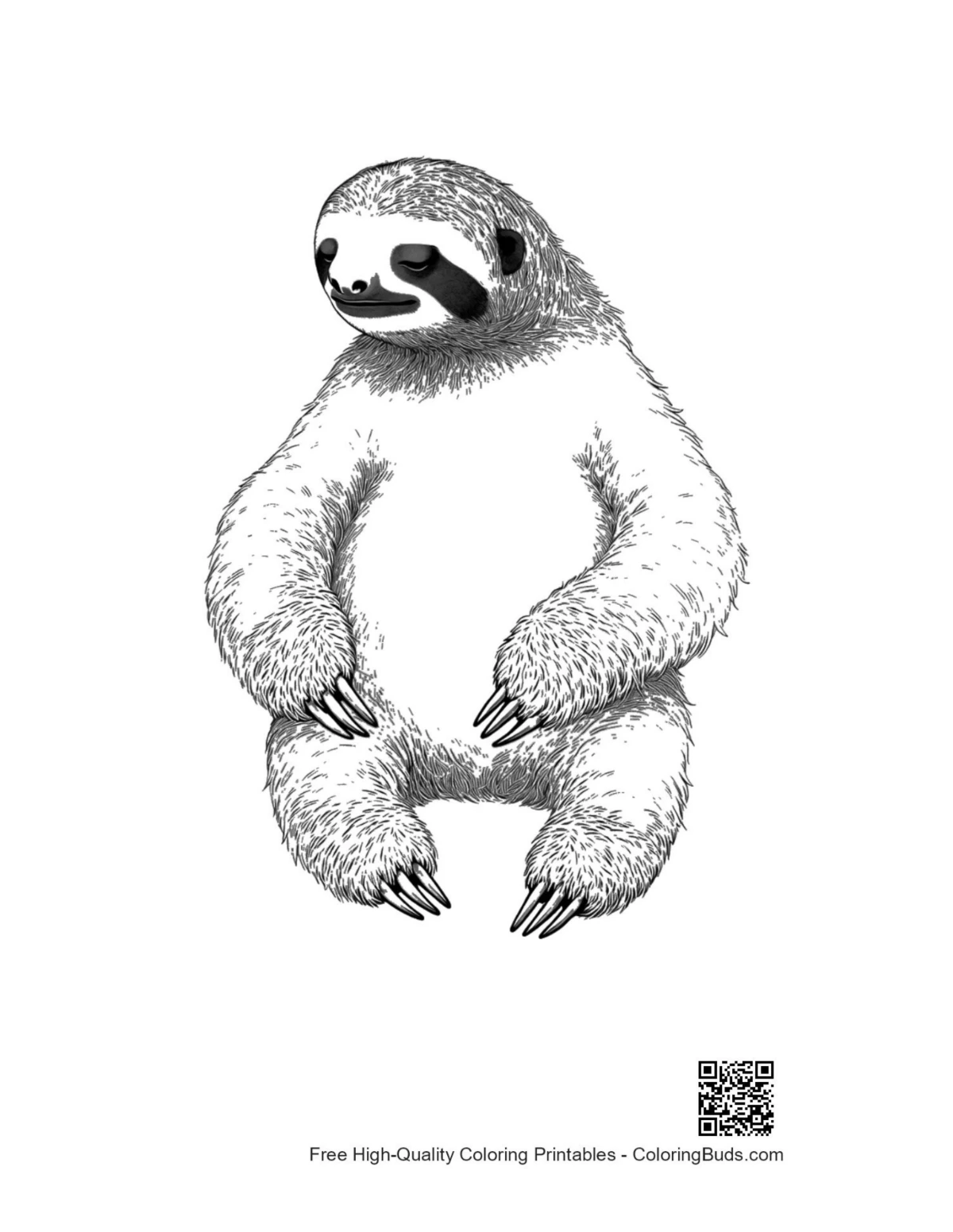 Chill three-toed sloth sketch printable coloring page