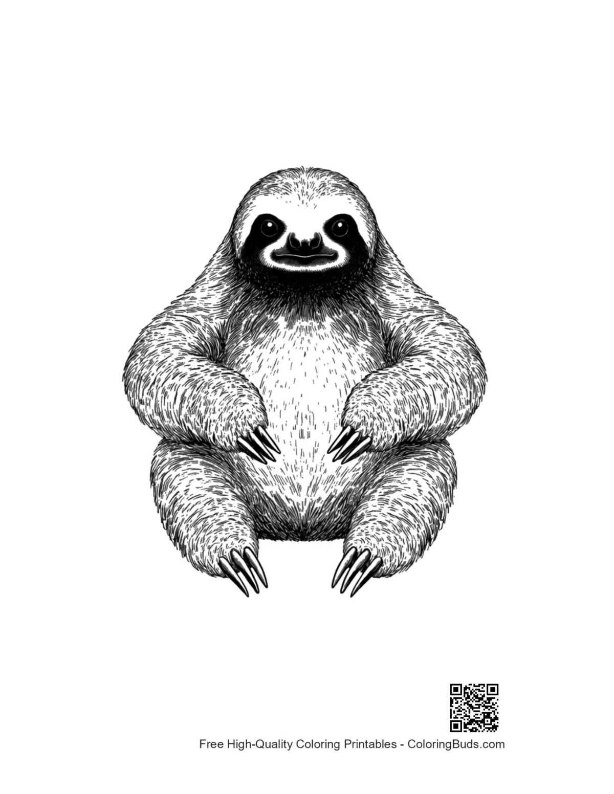 Cute three-toed sloth illustration