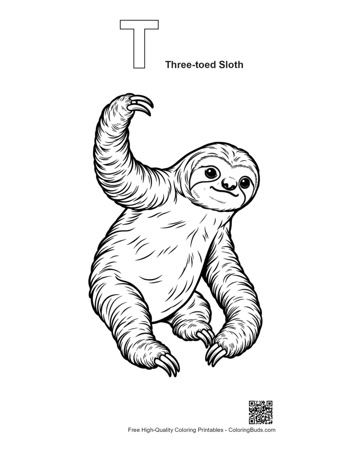 Sloth coloring page with T alphabet outline