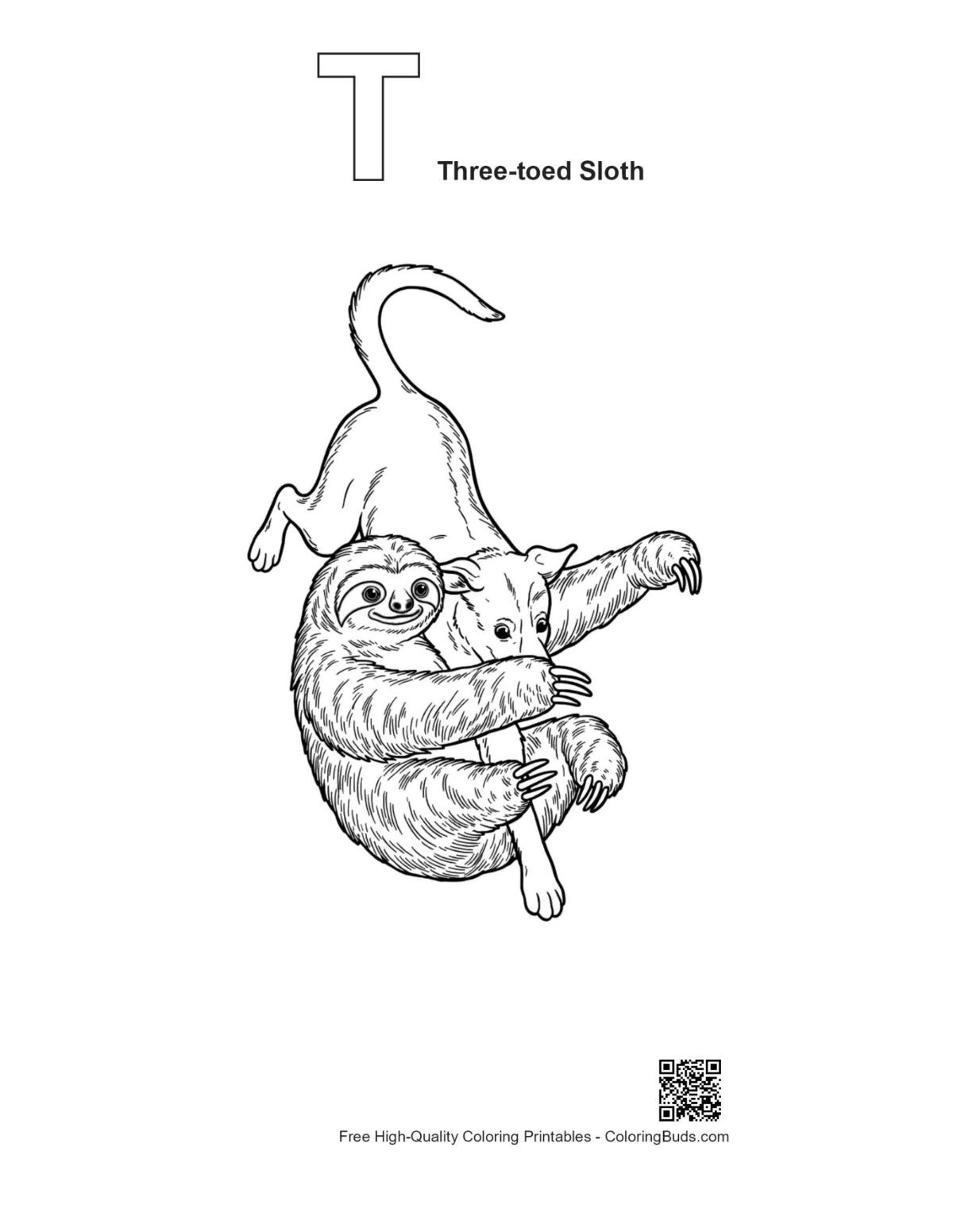 Three-toed sloth dog printable with T alphabet outline