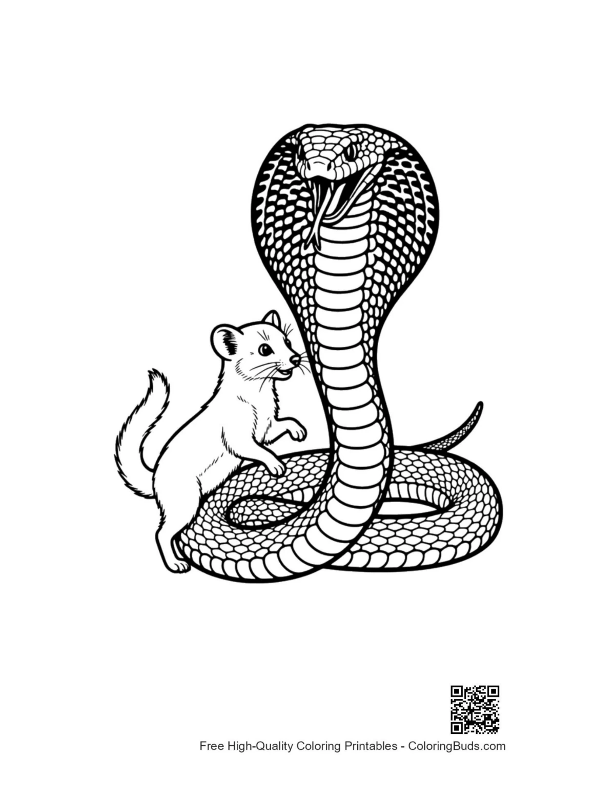 Cobra and Ferret Companions coloring page
