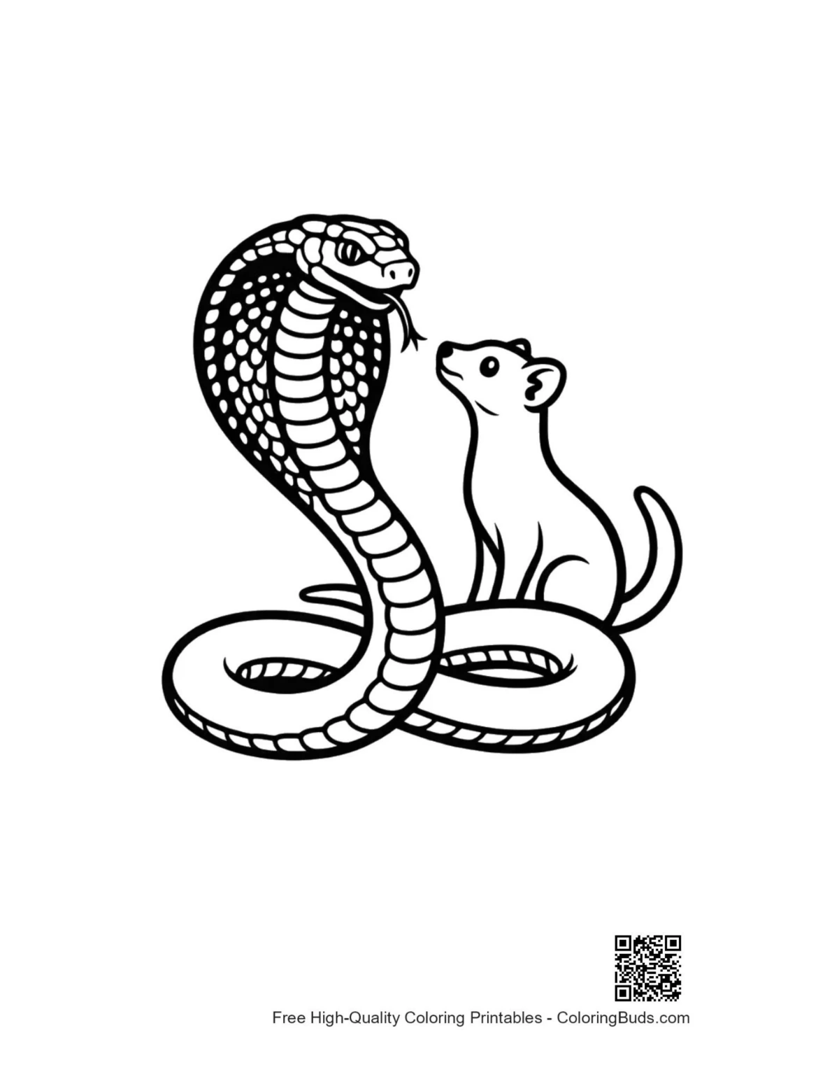 Cobra and ferret friendship coloring page