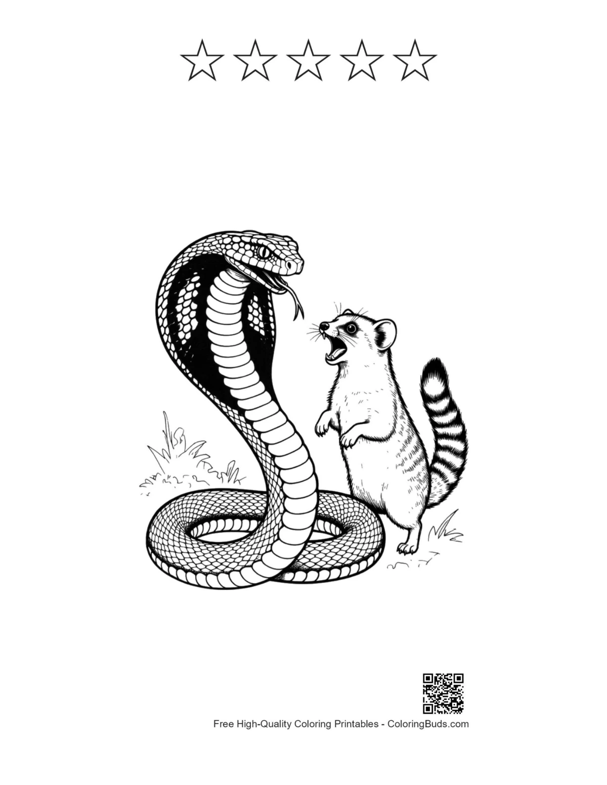 Cobra mongoose with 5 star outline printable