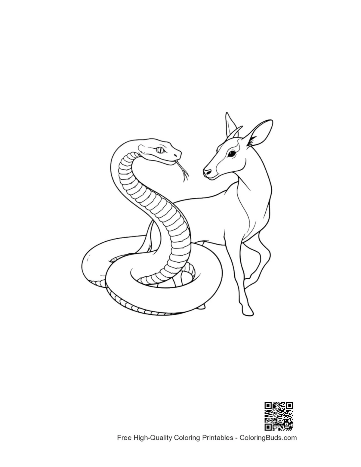 Coiled Python embracing gentle deer coloring page