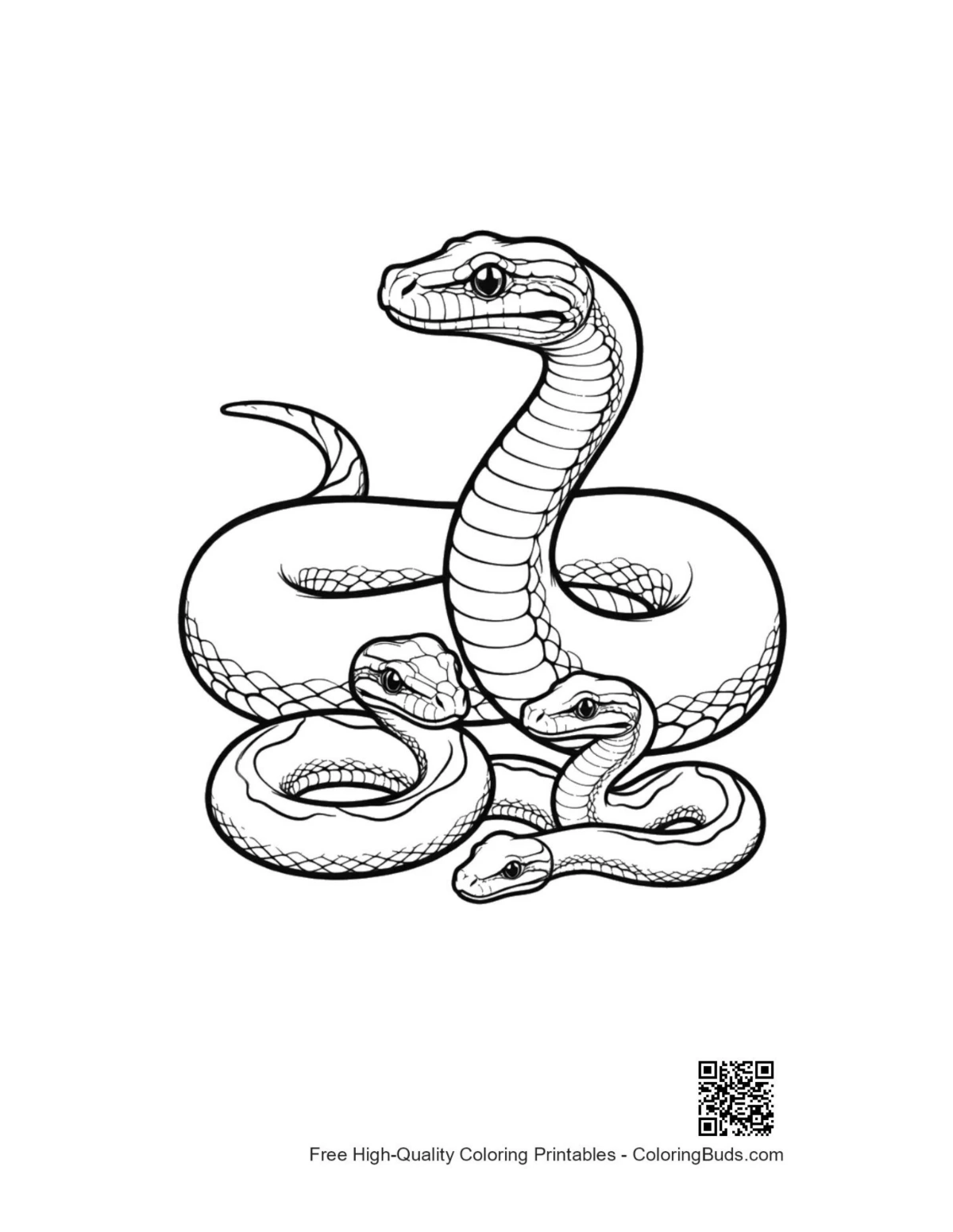Coiled python family coloring page