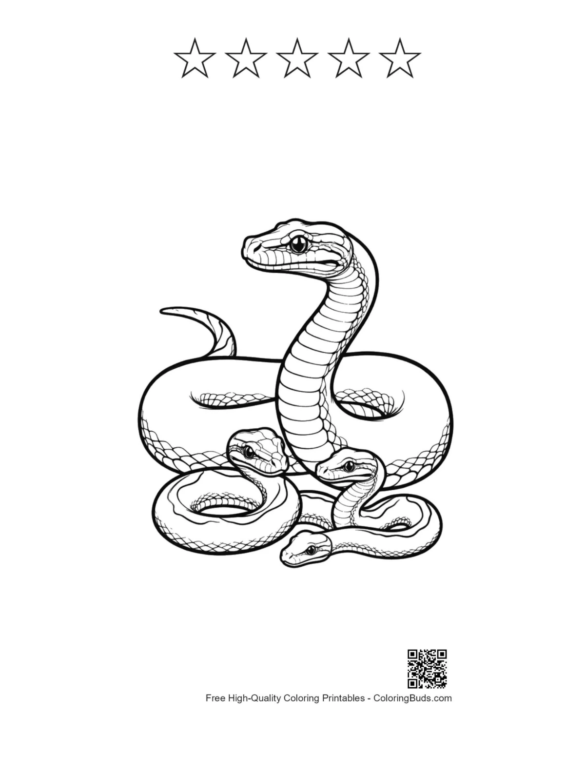 Python family printable with 5 stars