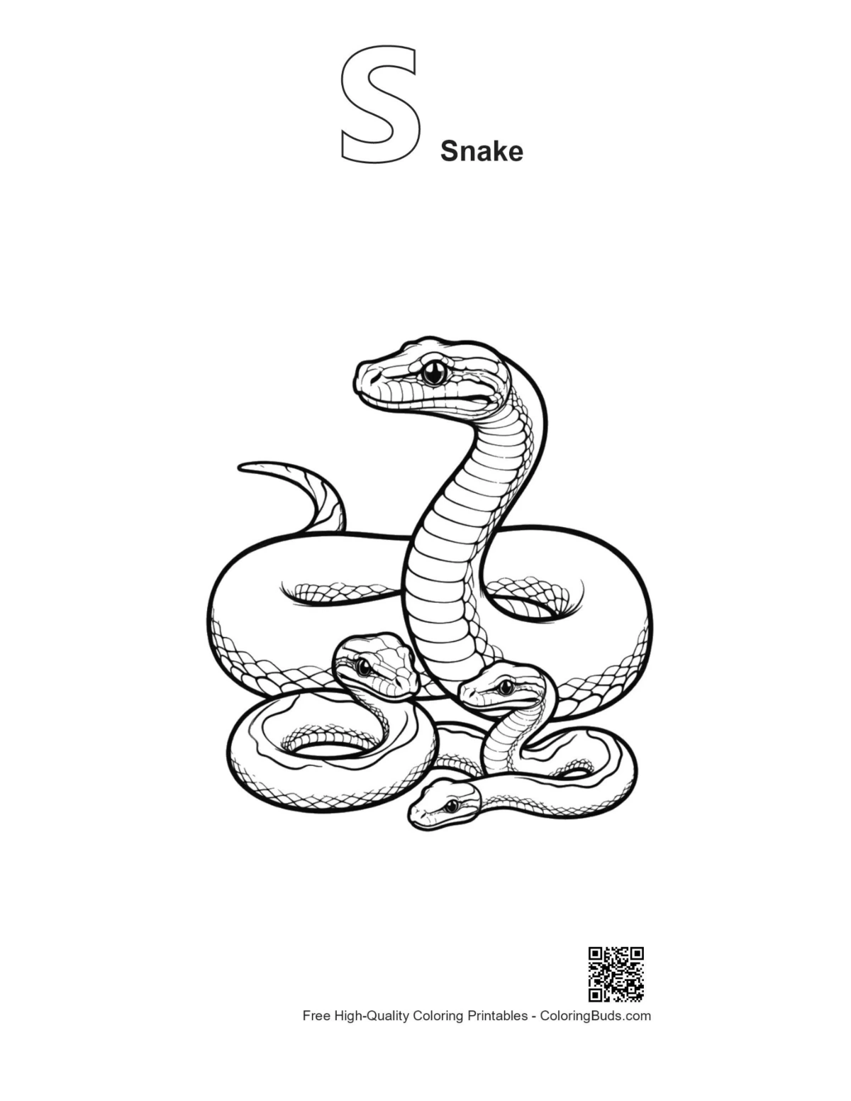 Python family outline with S snake alphabet