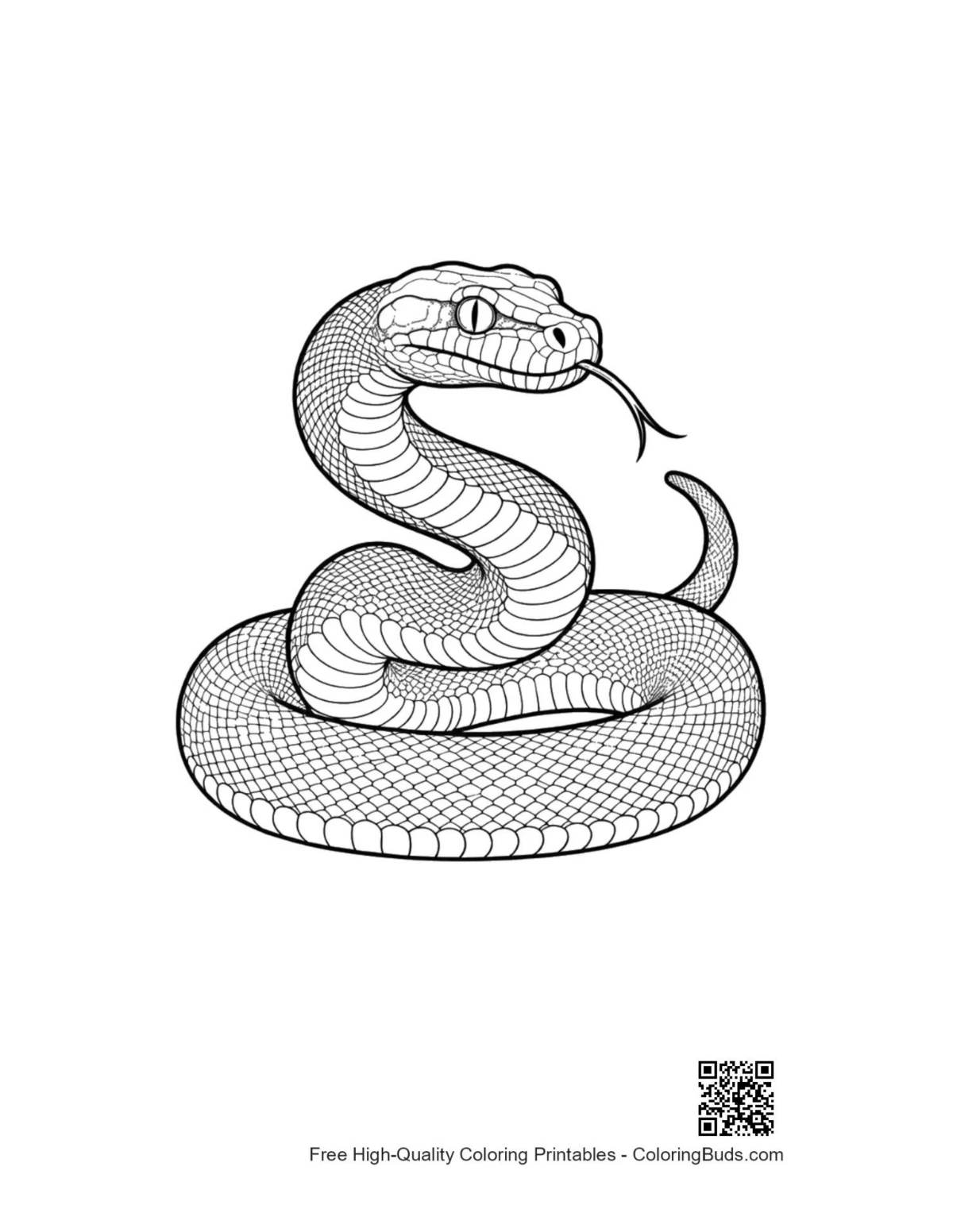 Kierretty Python-kuva väritystä varten