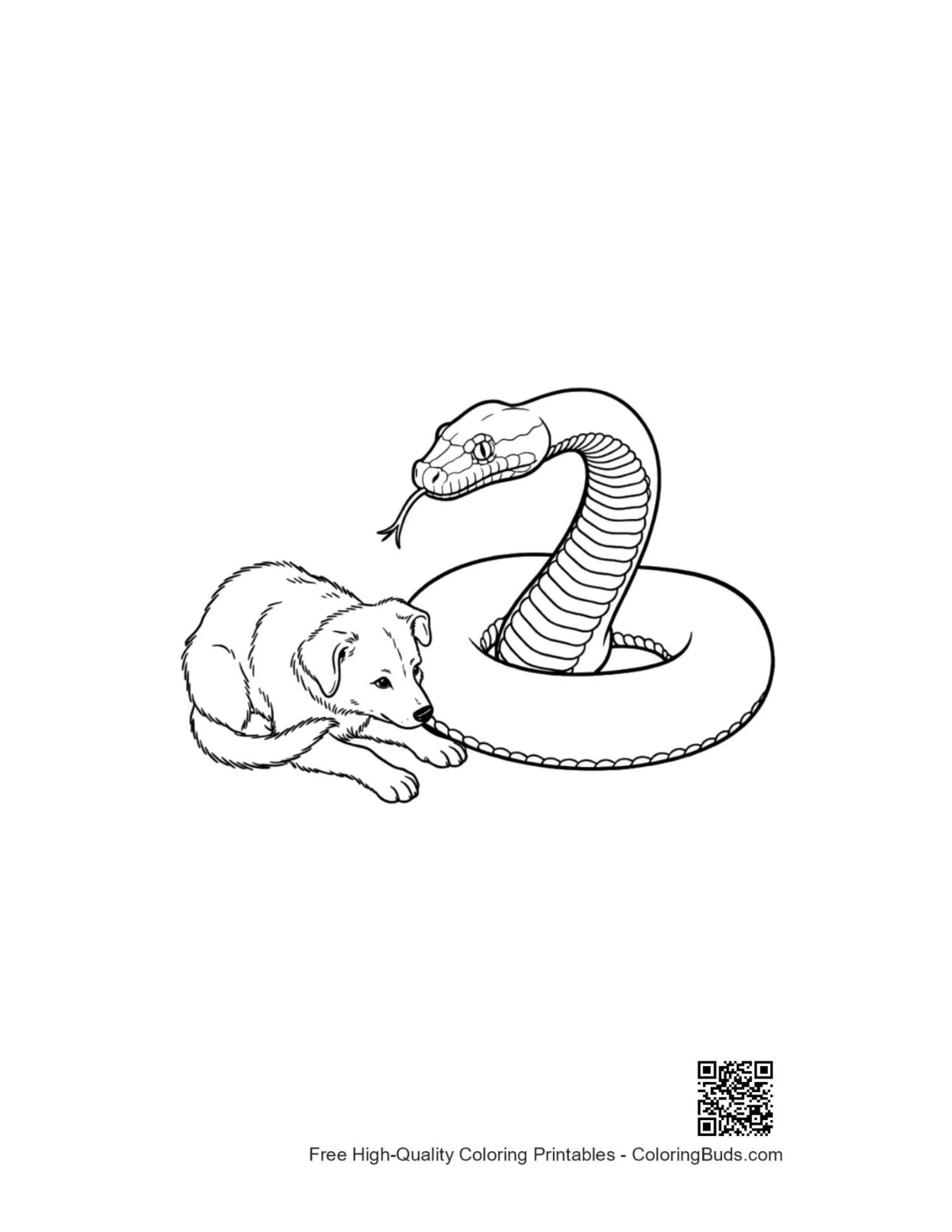 Cute curious puppy with coiled python coloring