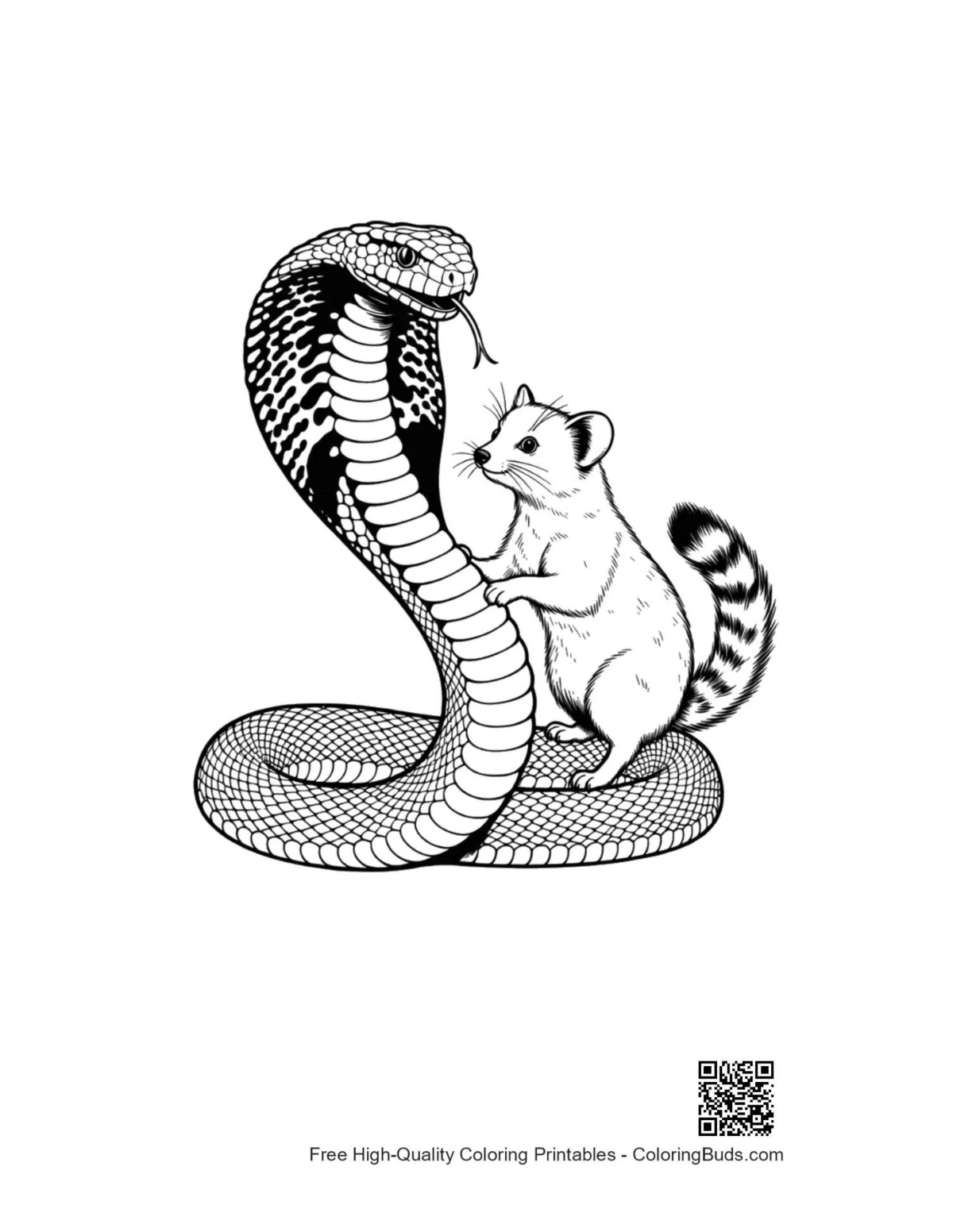 Friendly cobra embracing playful gerbil Cobra coloring page