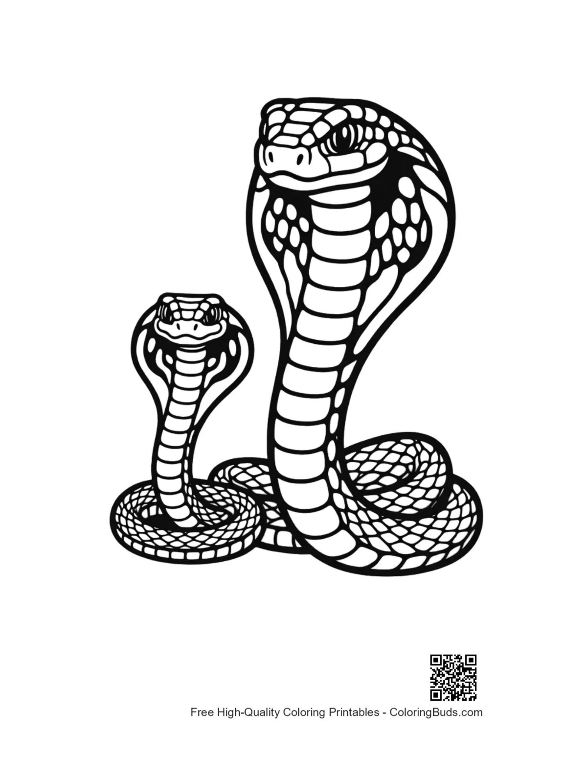 Mother cobra with baby cobra outline for coloring