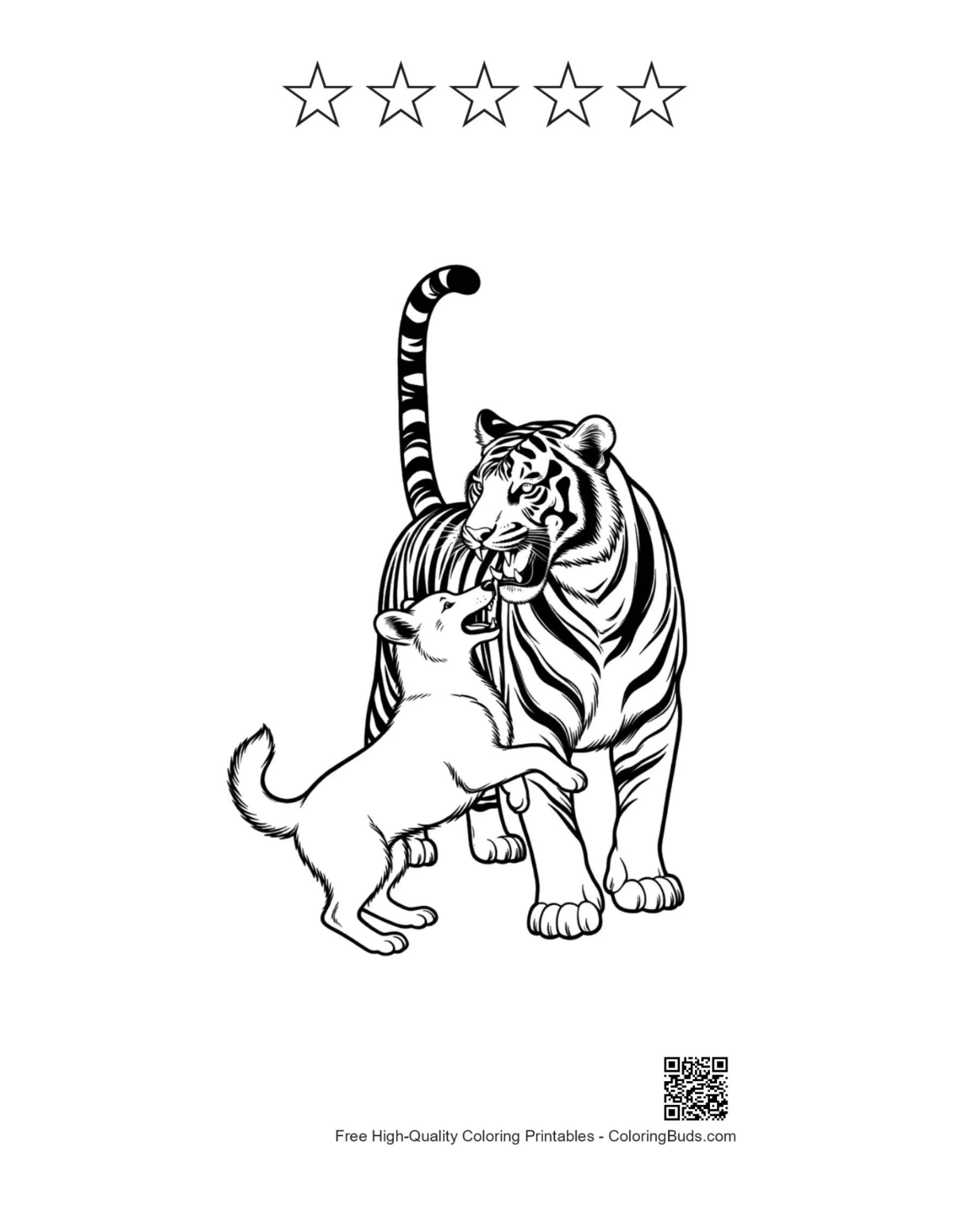 Bengal tiger cub bite with 5 stars outline